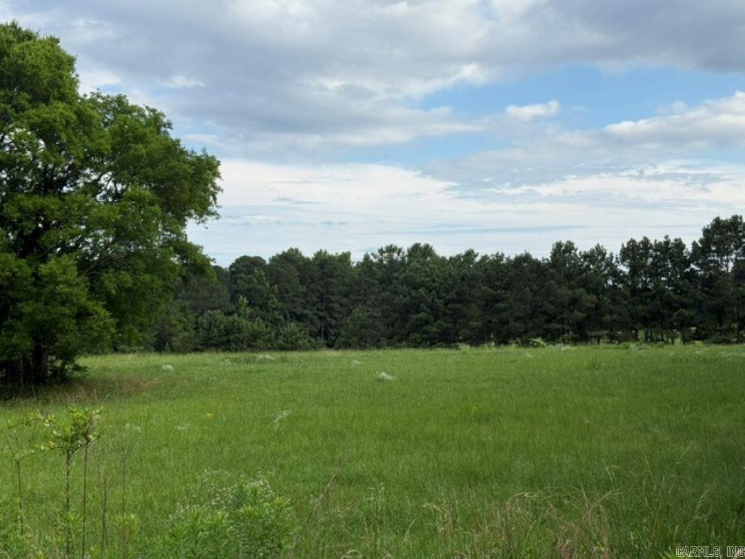 17+/- acres of pristine pastureland centrally located to Bismarck, Hot Springs, Malvern, Arkadelphia.  Lake Degray only a few miles away.  Great home site, if looking to build in the Bismarck area.