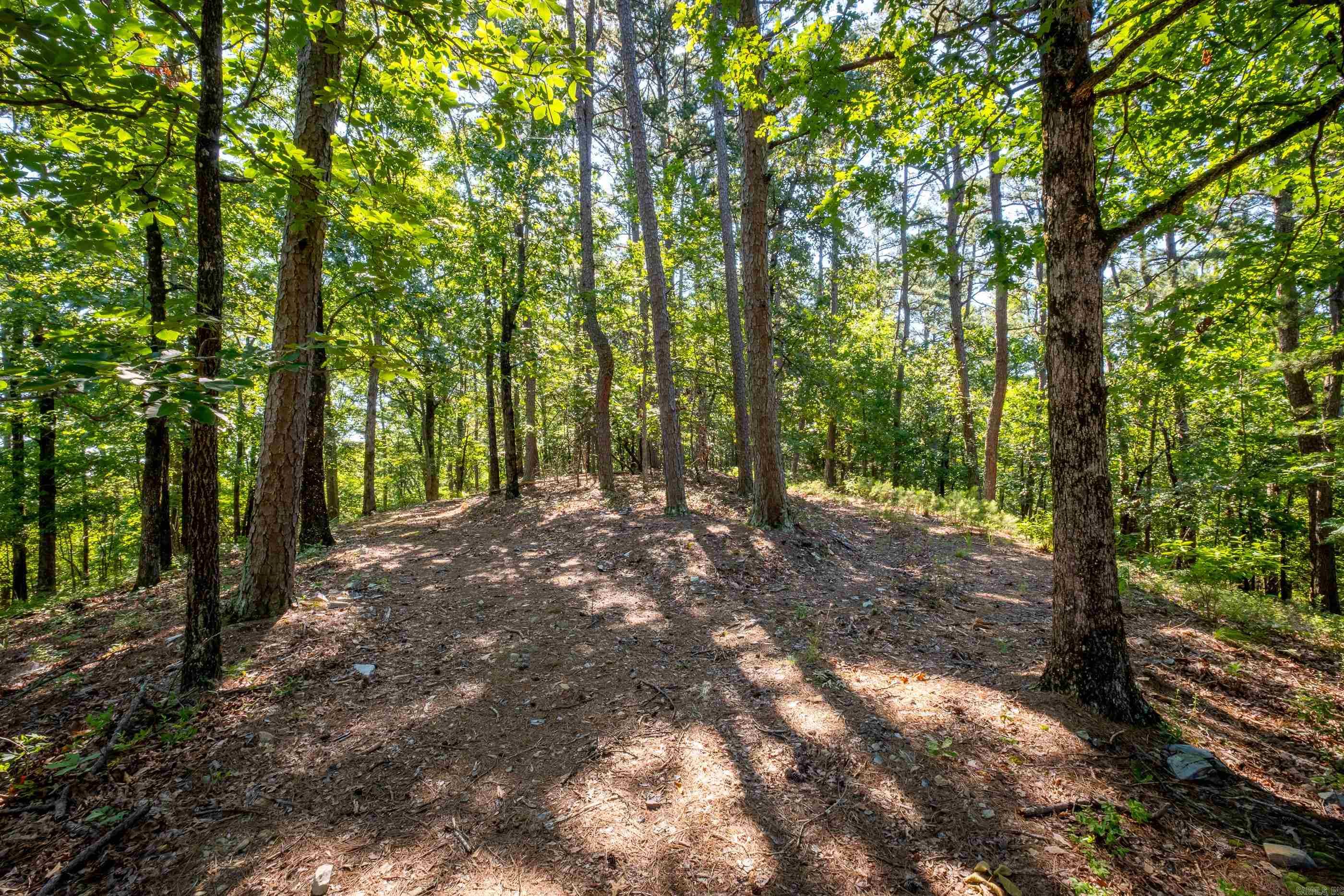 Stunning 13 acres that is mostly wooded with winding road to the ridge top. 475' of Road Frontage  Beautiful views and homesite for your dream home in the very desired Ferndale area. Access to small pond on back of property.  Well already on property.
