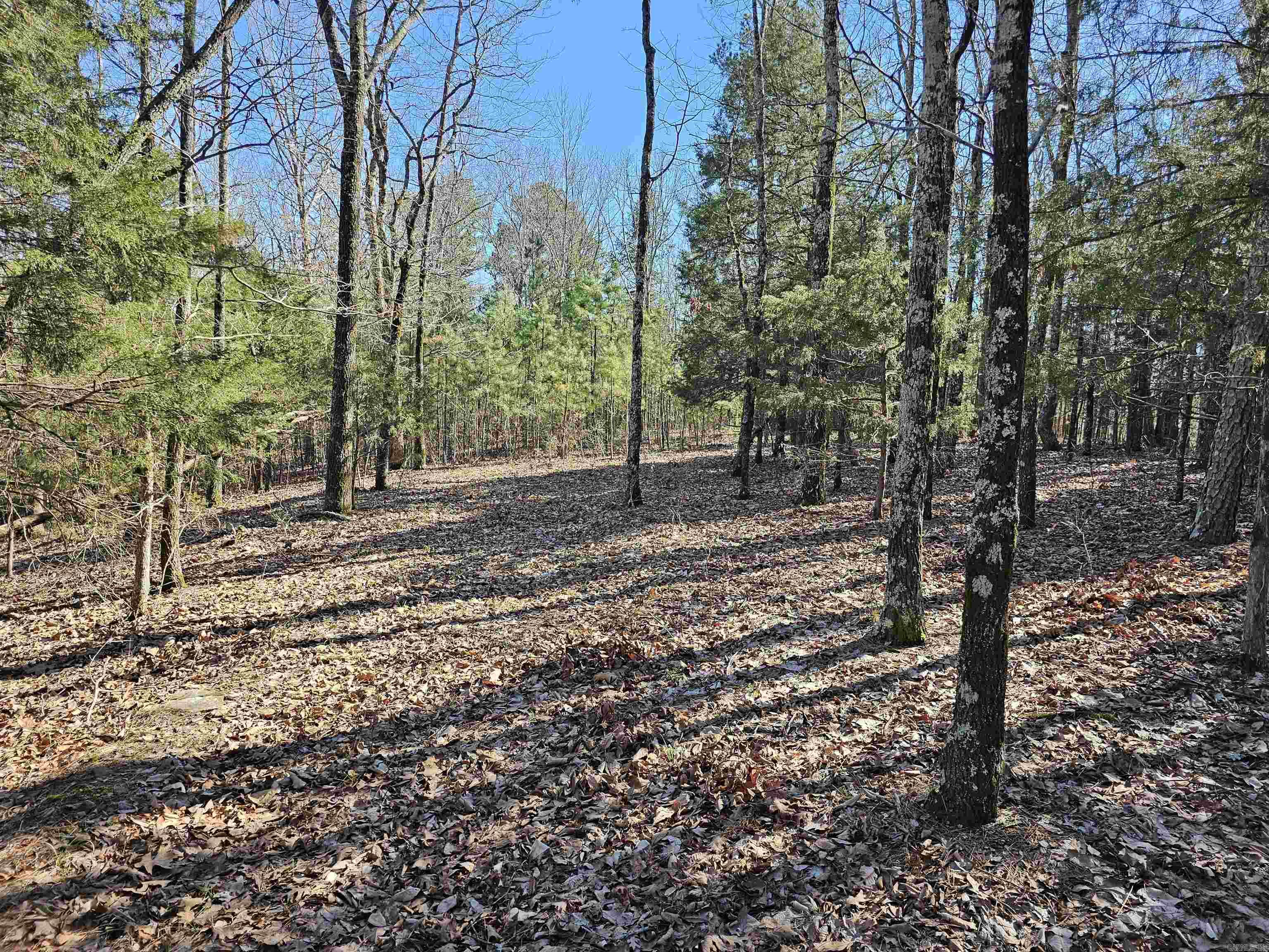Beautiful 40 Acre tract.  Great place to build hunting cabin, beautiful retirement home, or weekend getaway. Beautiful views. You can see for miles on back side of property.  Very peaceful and serene. Lots of wildlife.
