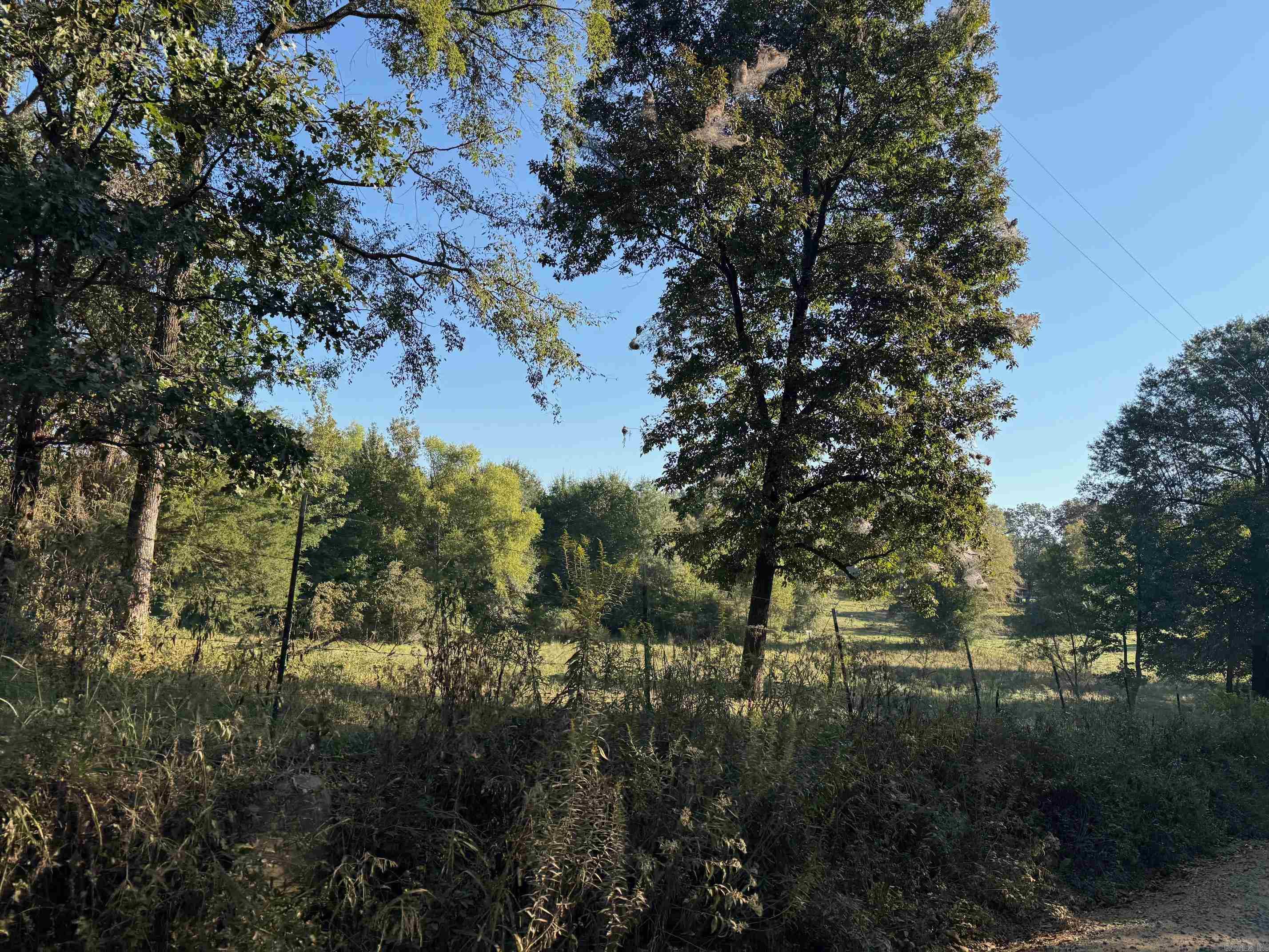 Nice Rural property just off of the pavement with a mix of woods and pasture.  Property is totally fenced and currently has cattle on it.  The property fronts along the County Road for great access.  This is the perfect property for the "Hobby Farmer" or Homesteader!  Electric and Rural Water are available.  This property is just minutes away from the Ouachita National Forest with it's abundance of recreational opportunities.  This property is also close to the Cossatot River High School.