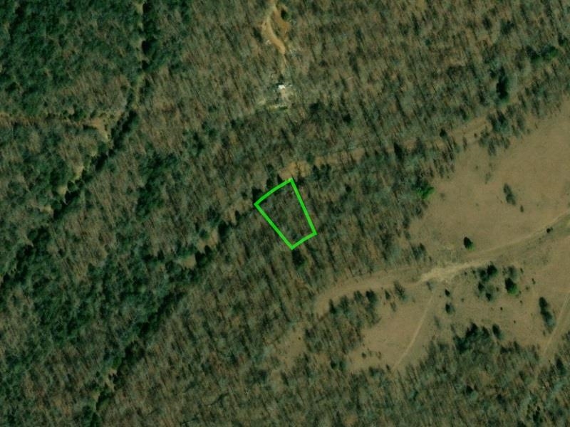 Looking for a secluded area to kick back, have some fun, and be undisturbed? This lot is perfect for your needs then. Build to your desires, live peacefully, and still be close to several area amenities. Enjoy 2 golf courses, 2 pools, 4 lakes, 2 resorts, fishing, swimming, water sports, spa, amazing food, and family fun! This area has plenty to offer with just enough space between tranquil home relaxation and lively entertainment.