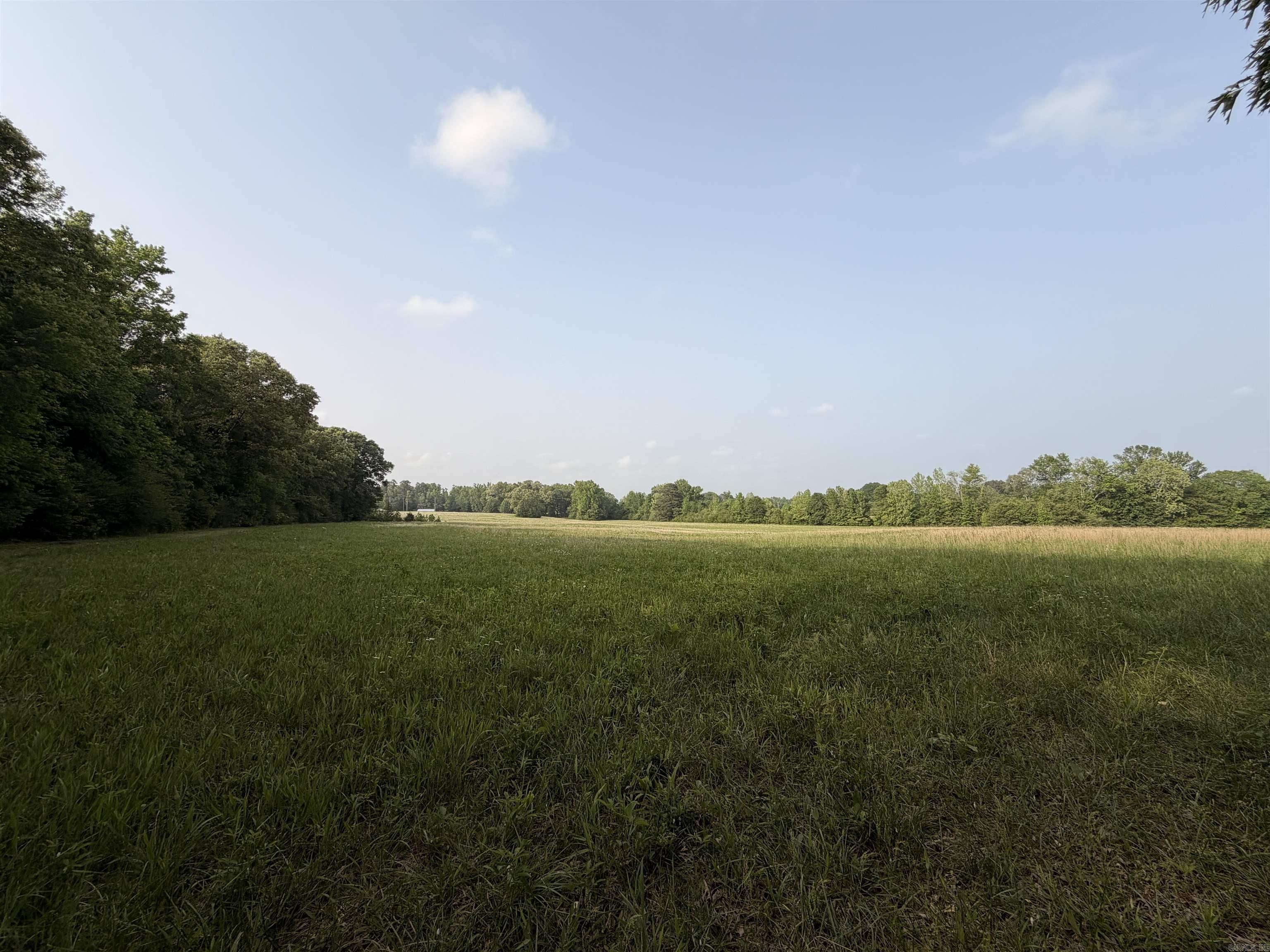 Beautiful 11.69-acre homesite offering privacy & space, rolling hills, and a peaceful country setting. This tract sits behind the front parcel and will include a 50-ft deeded easement for convenient access. The land features a blend of open areas and mature trees, providing multiple options for building your dream home with plenty of room to spread out. If you’re looking for a quiet setting with the flexibility to design the property the way you want, this acreage is an excellent opportunity. Survey to be completed by seller upon accepted offer. Minimum 2100 H/C sq ft build. Perc test is needed.
