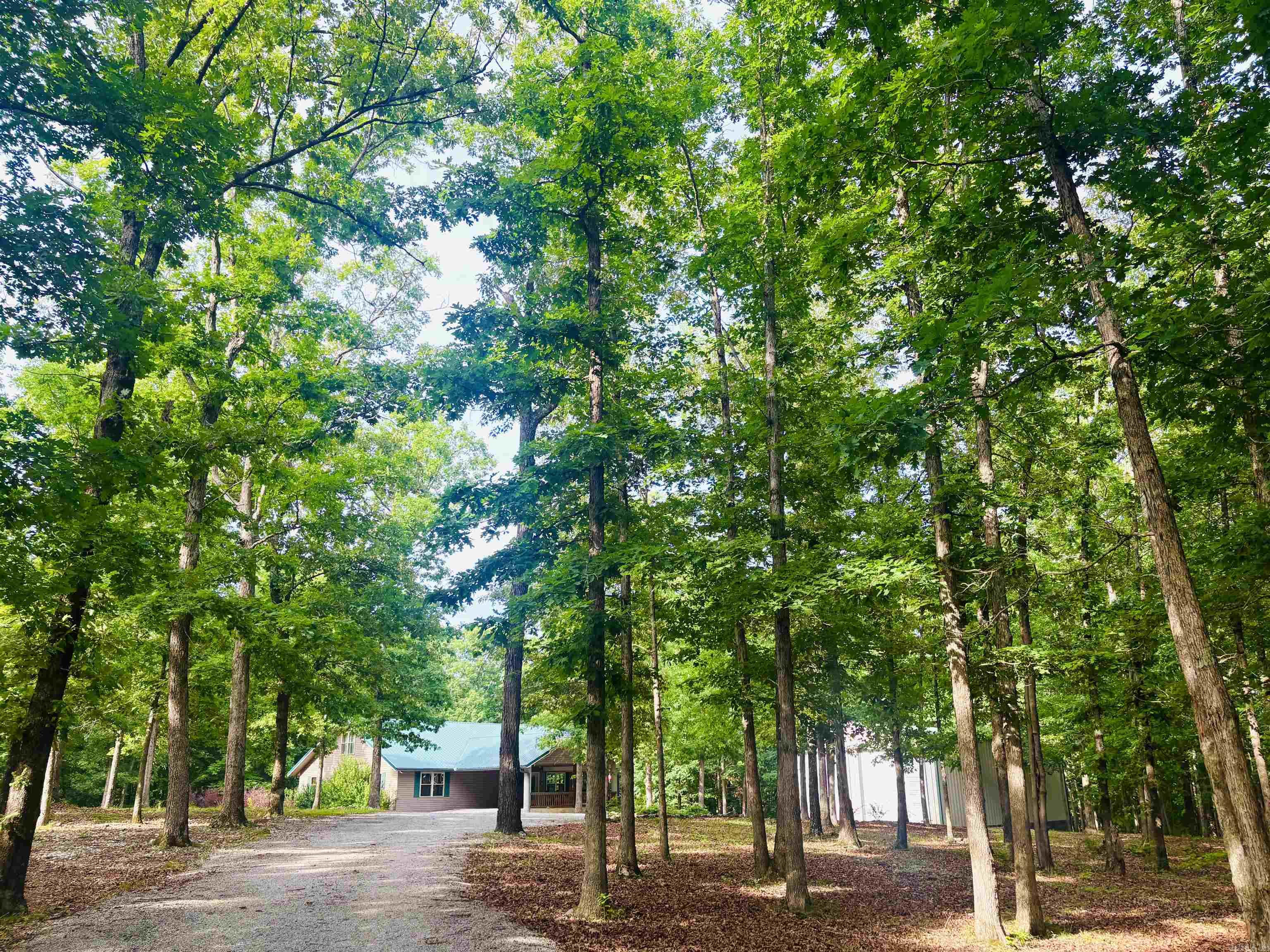Gorgeous turn-key custom-built home located just minutes from the live music, eateries, shopping, and festivals of world renown Mountain View! Whether you enjoy White River Trout fishing, hunting or hiking in the Ozark National Forest, or taking a dip in Sylamore Creek this location is ideal! The well-designed and well-built 3 story home offers over 3200 sq ft, 4 bedrooms, 3 baths, walk-out basement, covered decks and patio for morning coffee and outdoor entertaining, and sits on 6 MOL woodland acres. Special features include whole house Generac generator, open concept, rich wood interior, hardwood flooring, 2 fireplaces, wall of floor to ceiling windows in the spacious great room, ambient lighting, bonus room, large walk-in closets and pantry, and breakfast bar. The finished basement is the perfect family room, den, game room, mother-in-law quarters, or a second master suite. The third level has an open loft office/sitting area and a large bonus room/4th bedroom plumbed to add a 4th bath. This property checks all the boxes with beautiful woodland views, a 30x50 shop to park your RV, plus most of the beautiful furnishings, furniture, and decor may convey with an acceptable offer!!!