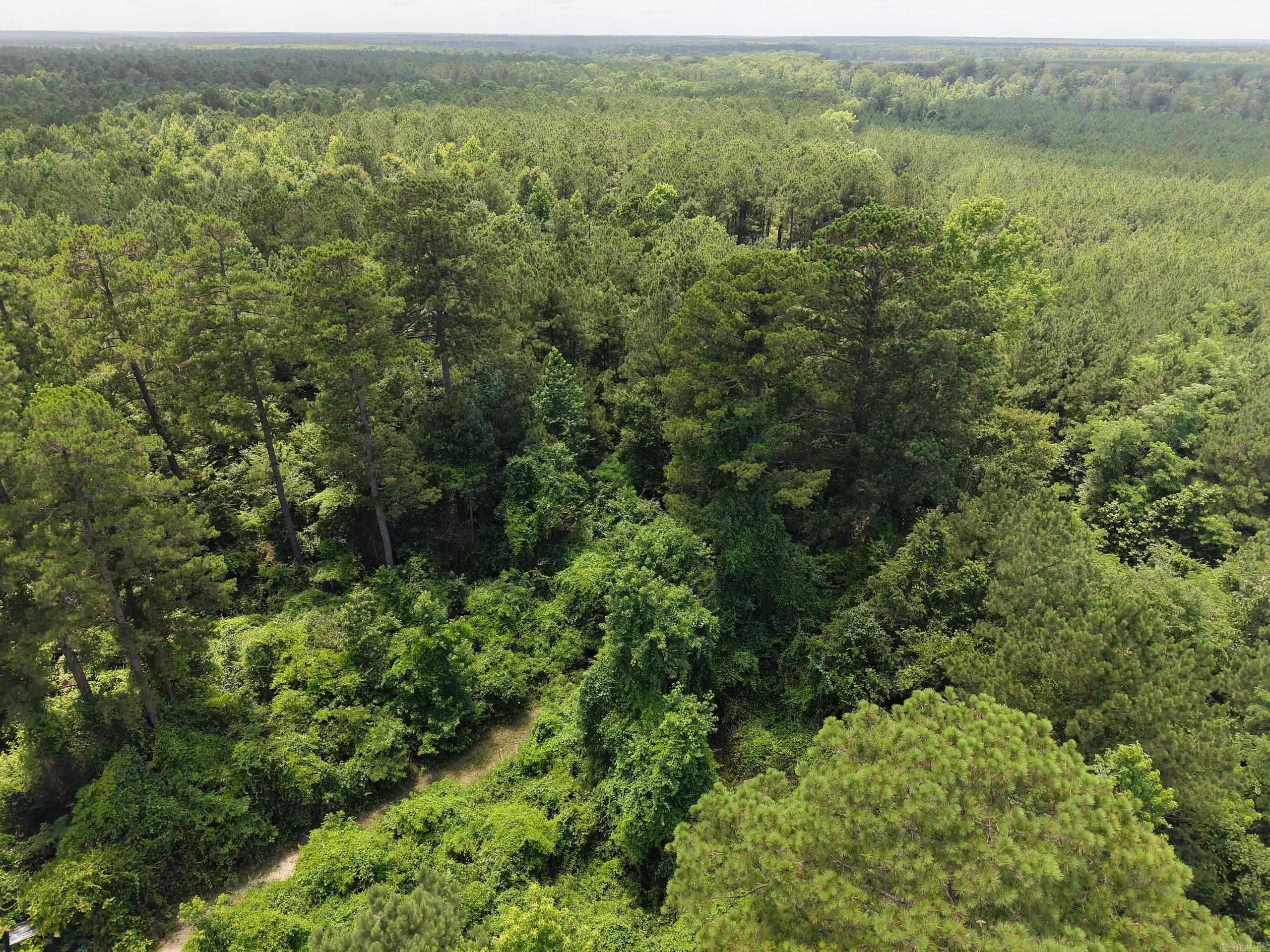 Whether you're seeking a timber investment, hunting property, or recreational retreat, this exceptional tract offers outstanding value. The property features approximately 13-year-old planted pine expected to be ready for its first thinning within two years, providing near-term income potential and long-term timber value.  Beautiful Streamside Management Zones (SMZs) with mature hardwoods wind through the property, creating excellent habitat for whitetail deer, wild turkey, hogs, and small game. An established interior road system provides easy access for hunting, trail cameras, food plots, and exploring the property.  Legal access ensures convenient entry while maintaining privacy and seclusion. The layout offers excellent locations for food plots, a hunting camp, or future recreational improvements.  Combining growing timber, quality wildlife habitat, legal access, and outstanding recreational appeal, this tract is an ideal opportunity for hunting, investment, or long-term land ownership.