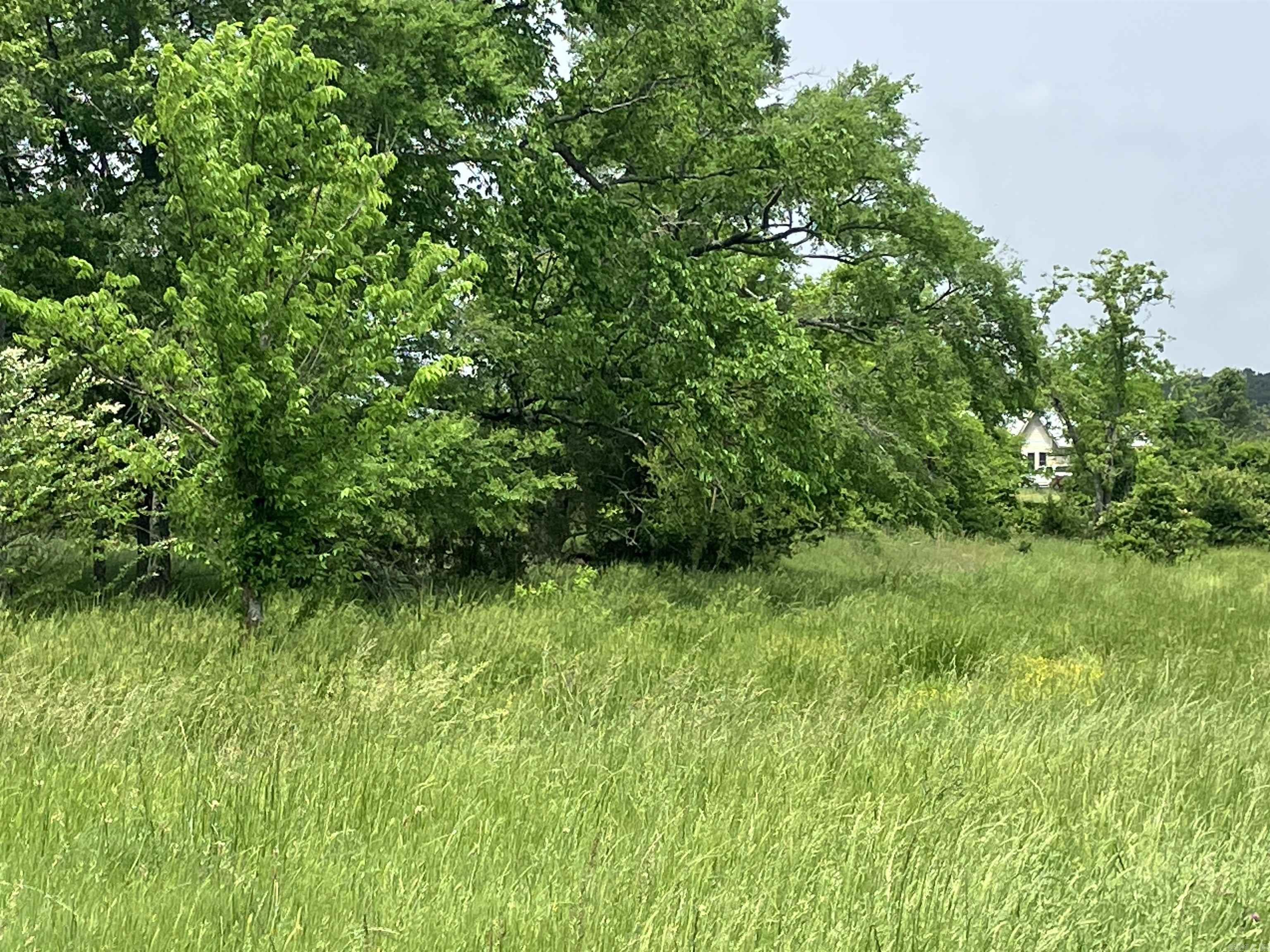 This property is cleared with a few trees for shade. It is fenced and cross fenced with two ponds and a corral. There are good places to build your dream home. Put some livestock on it or your horses for a hobby farm. You are approximately 1 mile from Ouachita National Forest. 20 minutes to Lake Ouachita. 45 miles to Hot Springs.