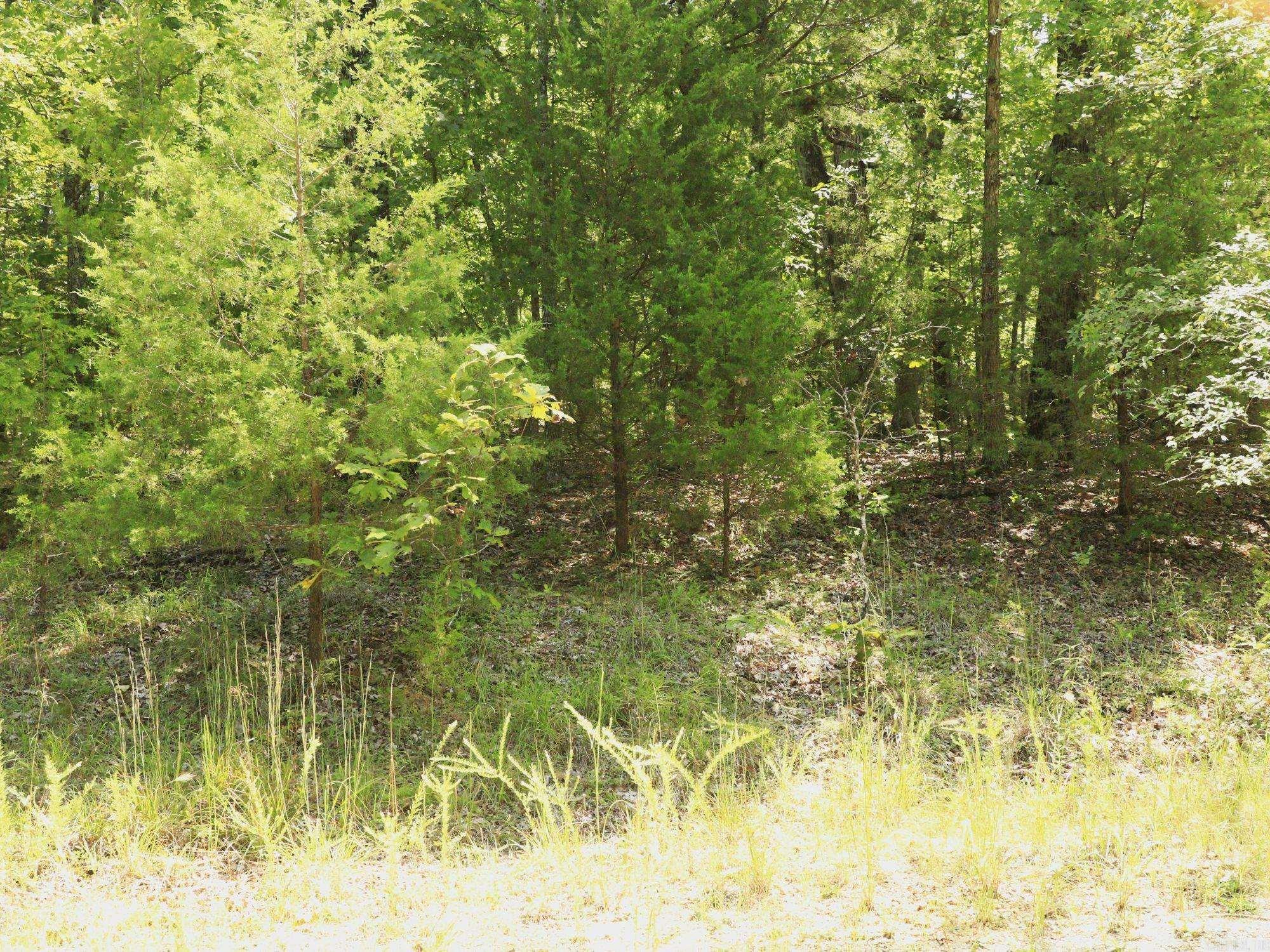 Pioneer Park - Land