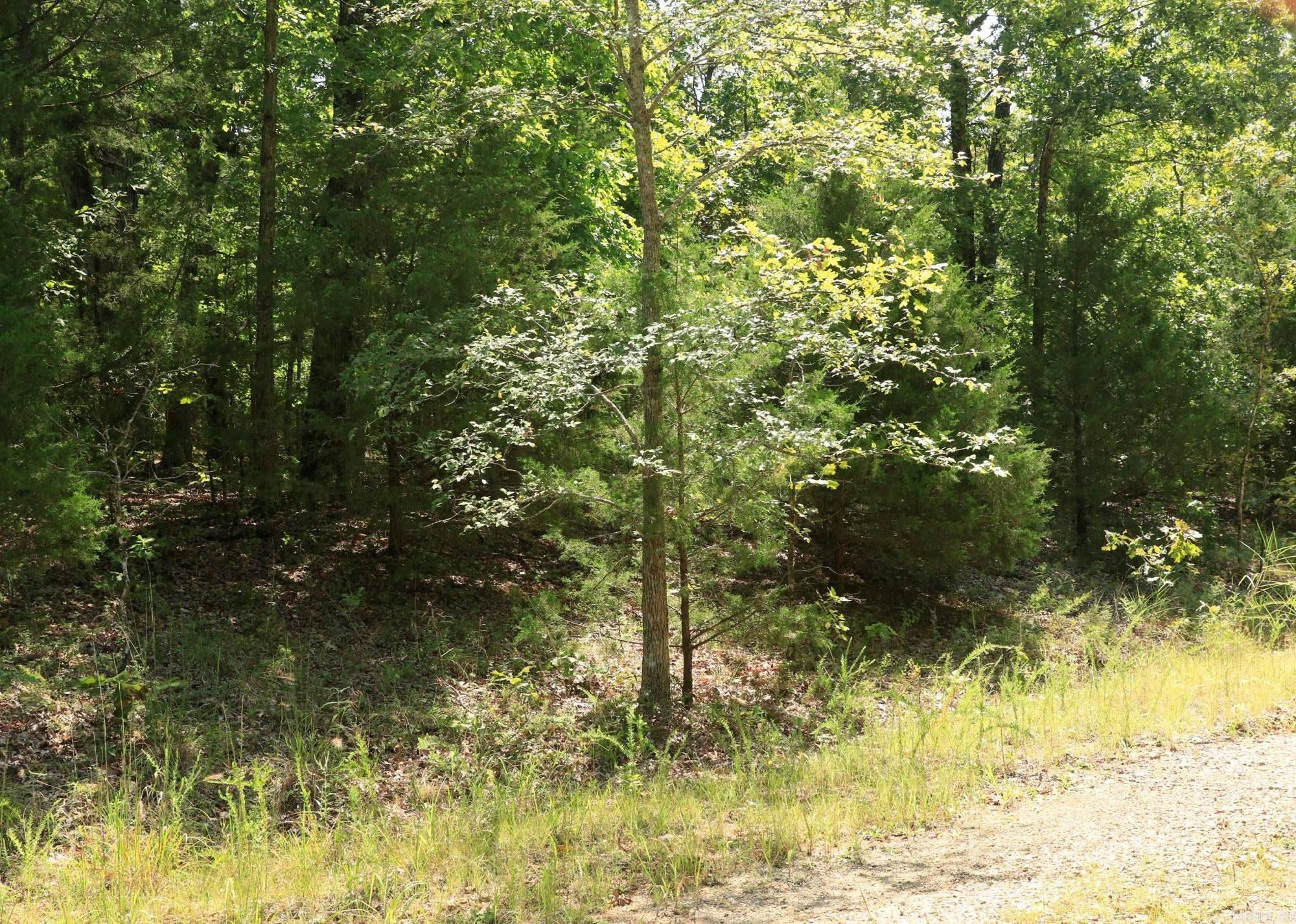 Pioneer Park - Land
