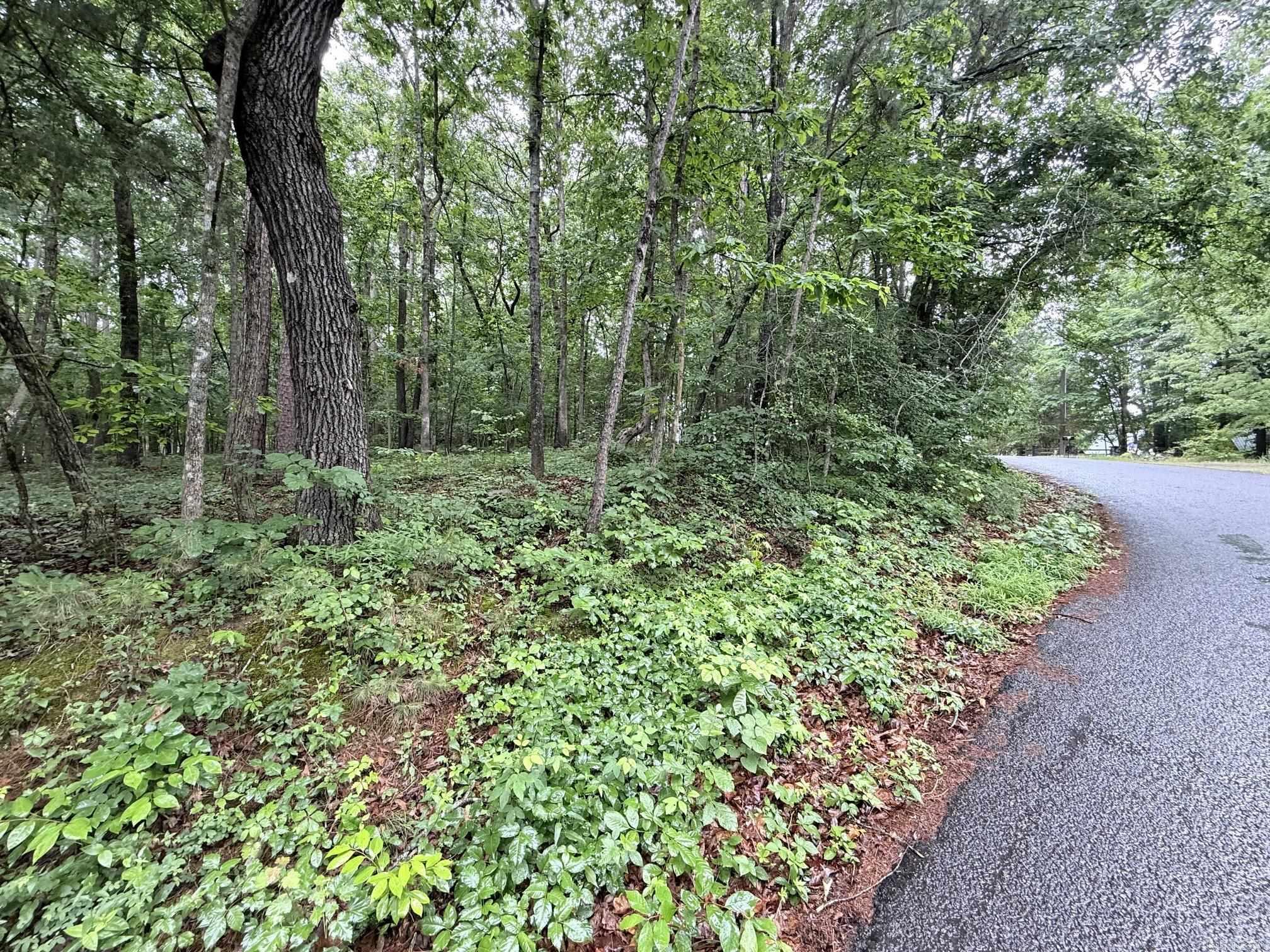 Lake View lots in the Skypoint Estates!!! Minutes from all area amenities.  Build your dream lake home with a lake view! 1.55 acres total! With a corner lot!!!  Boat Launch and Airstrip in Neighborhood.