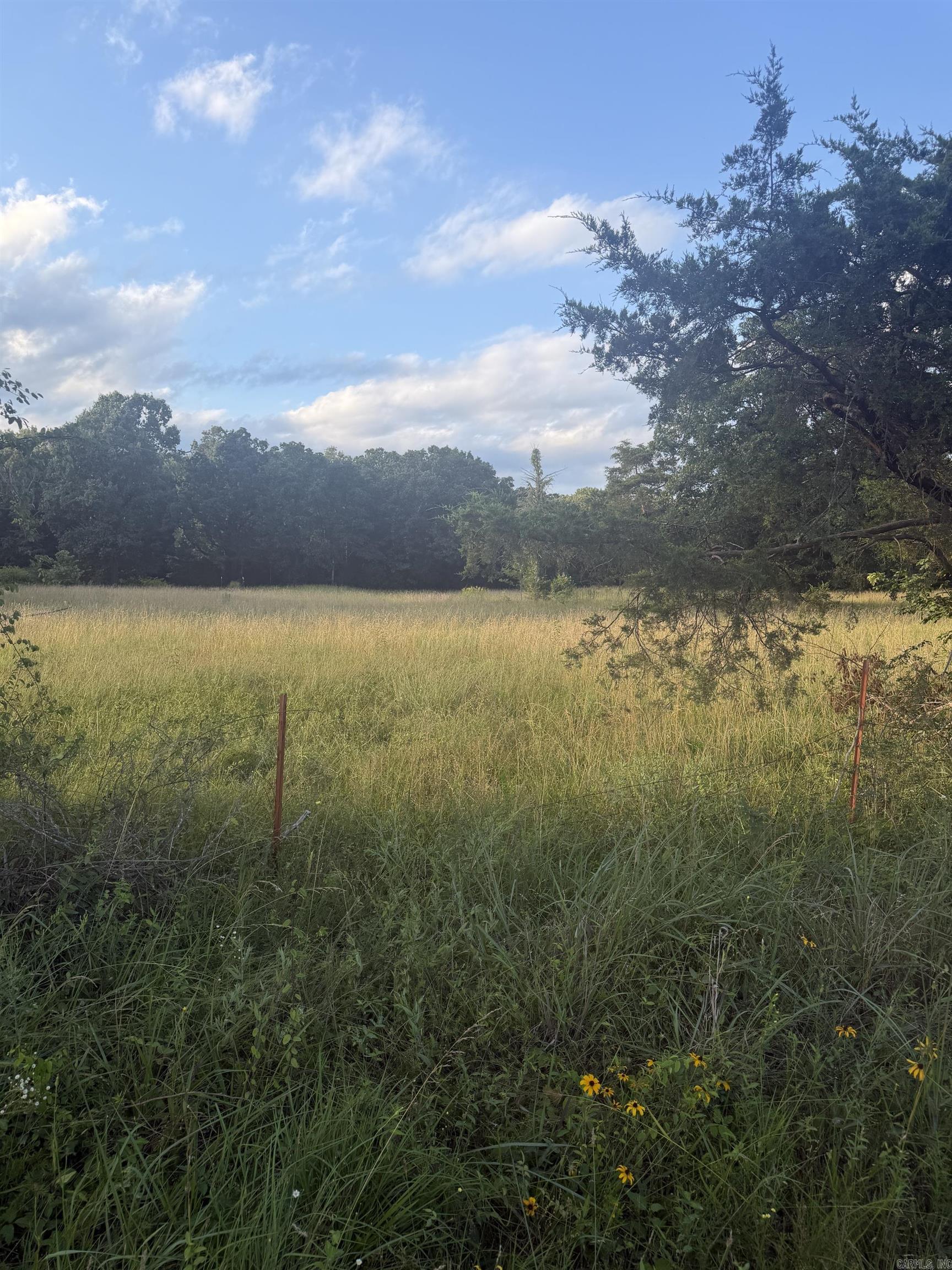 Gorgeous land to build yur next dream home. Beautiful country setting but convenient to everything. Don't miss this rare opportunity. Taxes are estimated