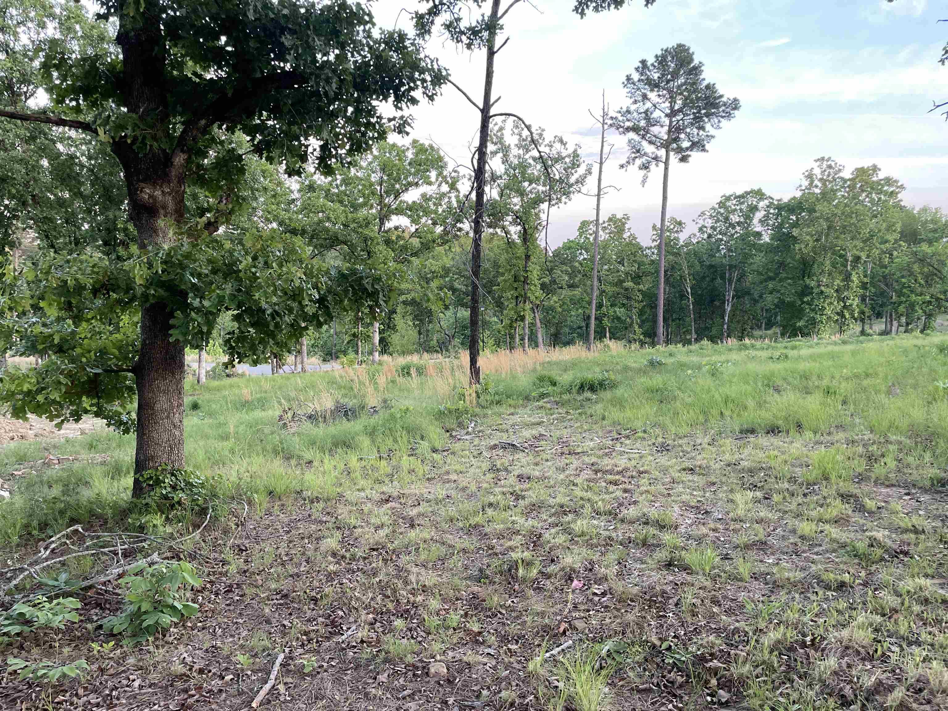 Orchard Hill - Land