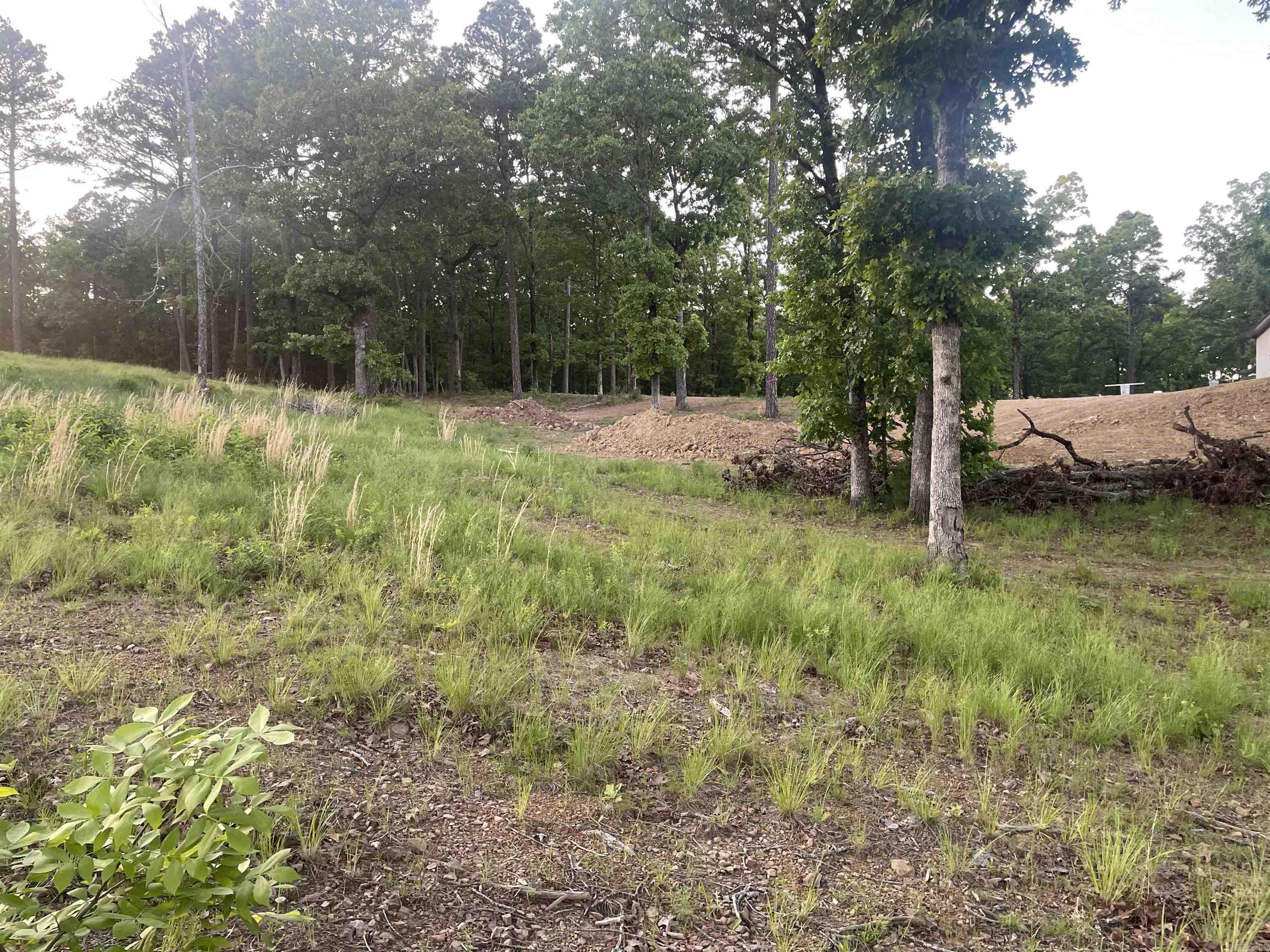 Orchard Hill - Land