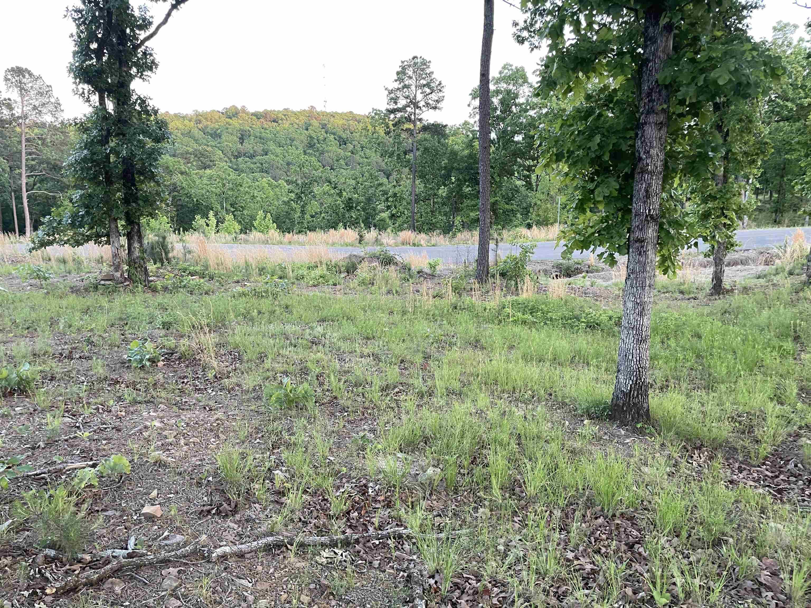 Orchard Hill - Land