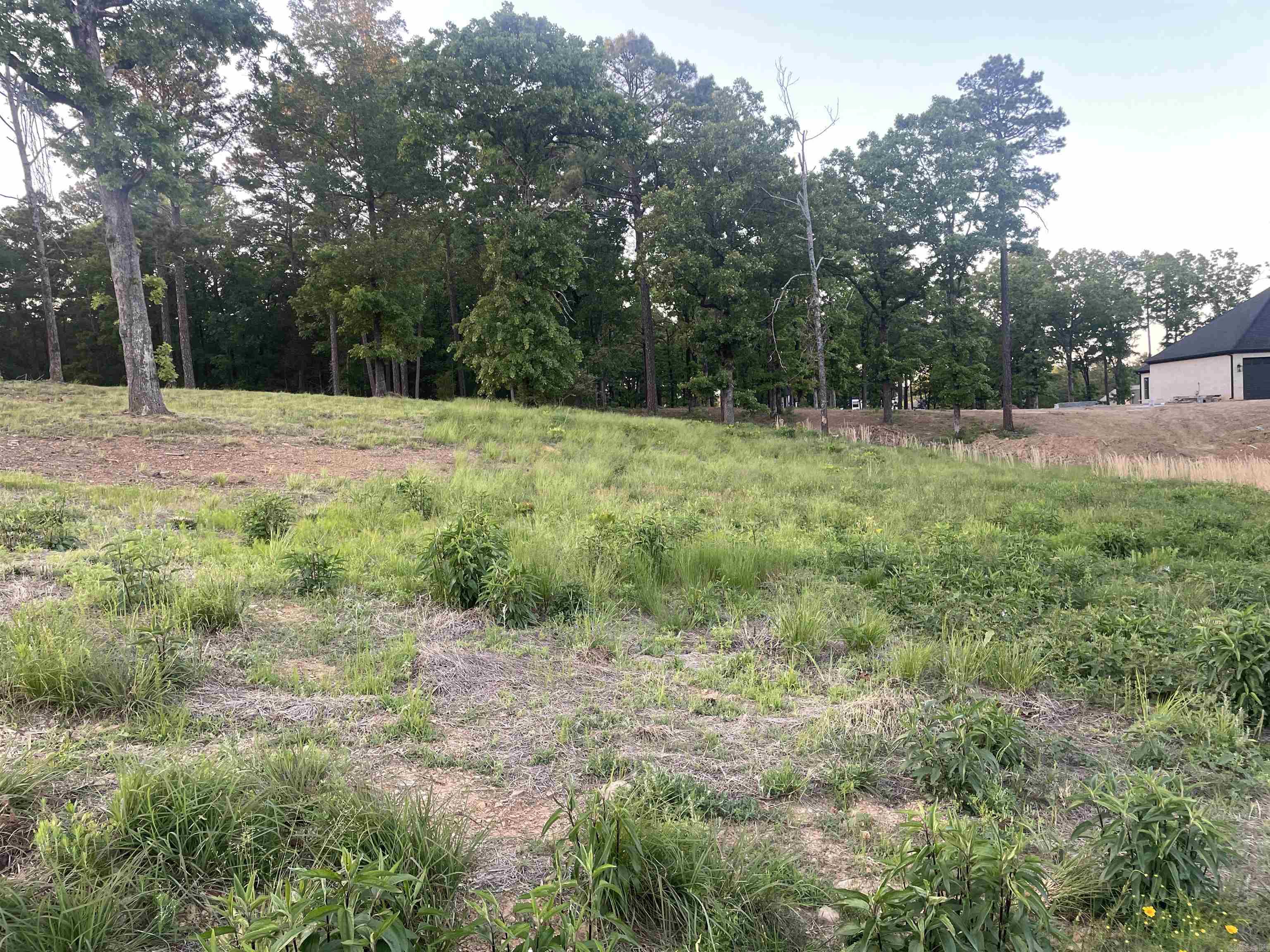 Gorgeous 3/4ac homesite with vista view from the front. 3000ft min. Neighborhood features rolling hills, beautiful trees, and the homes are amazing.