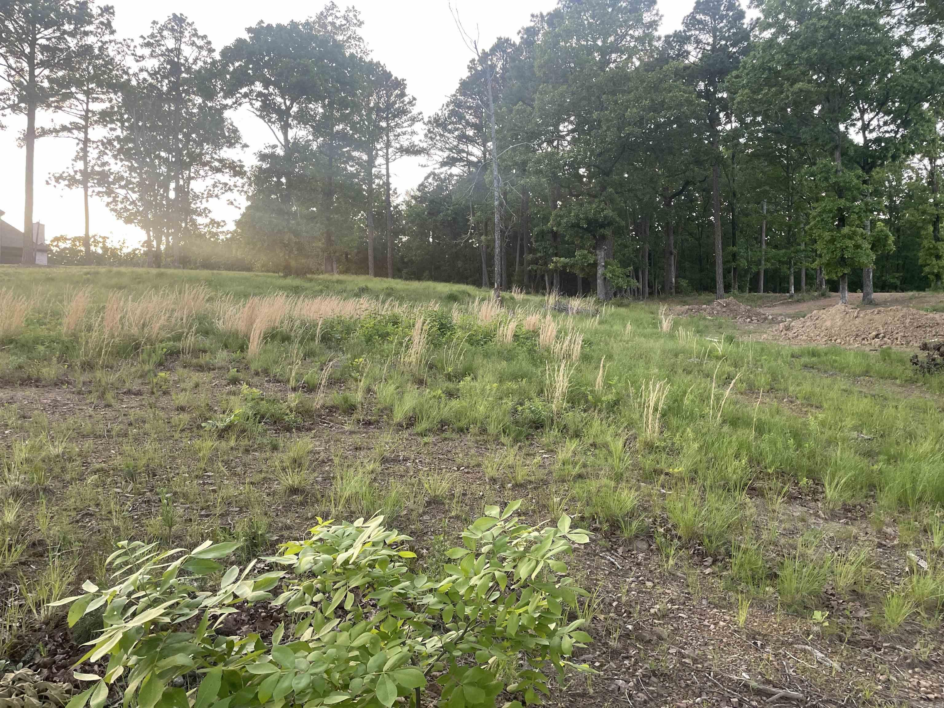 Orchard Hill - Land