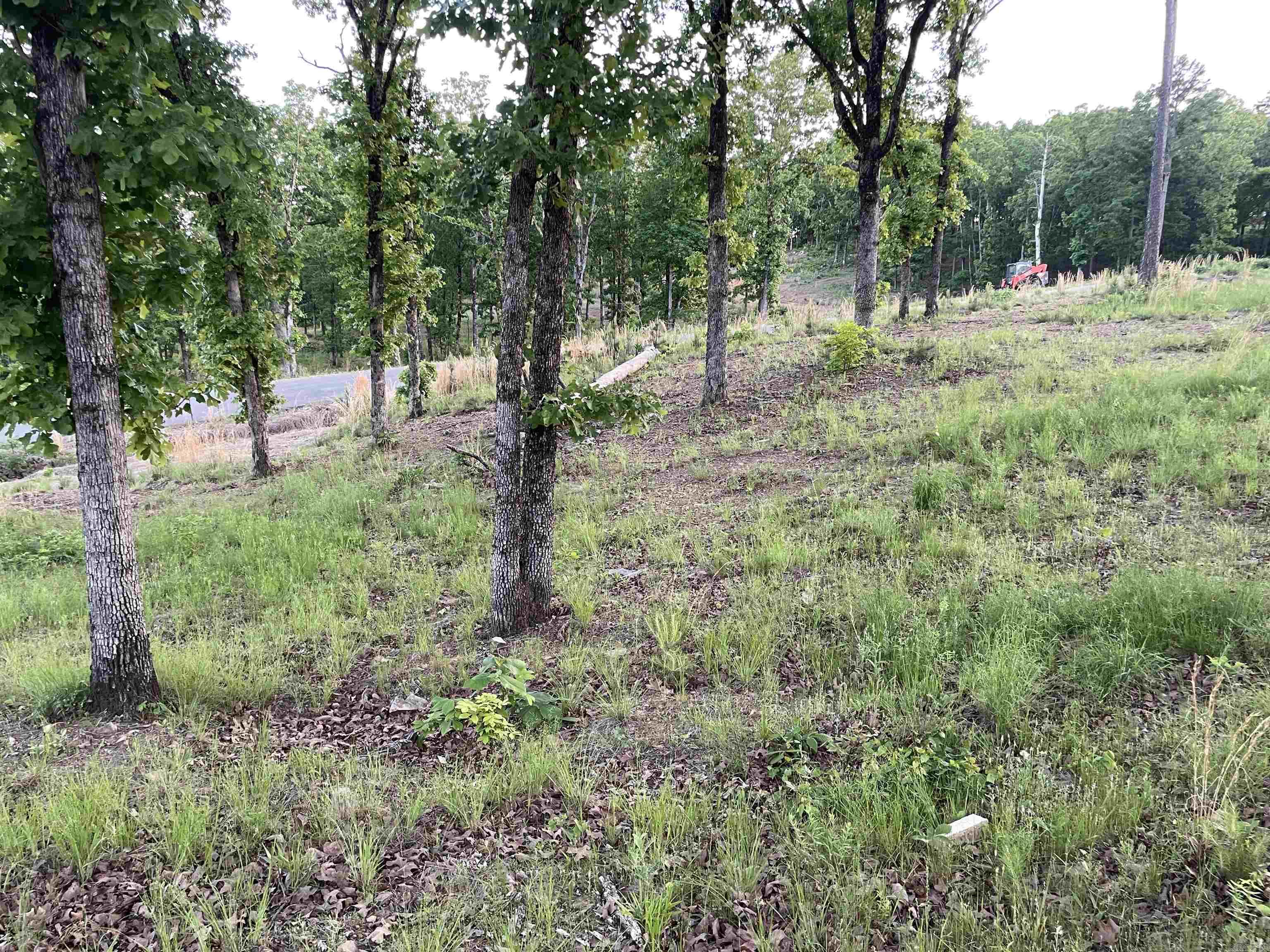 Orchard Hill - Land