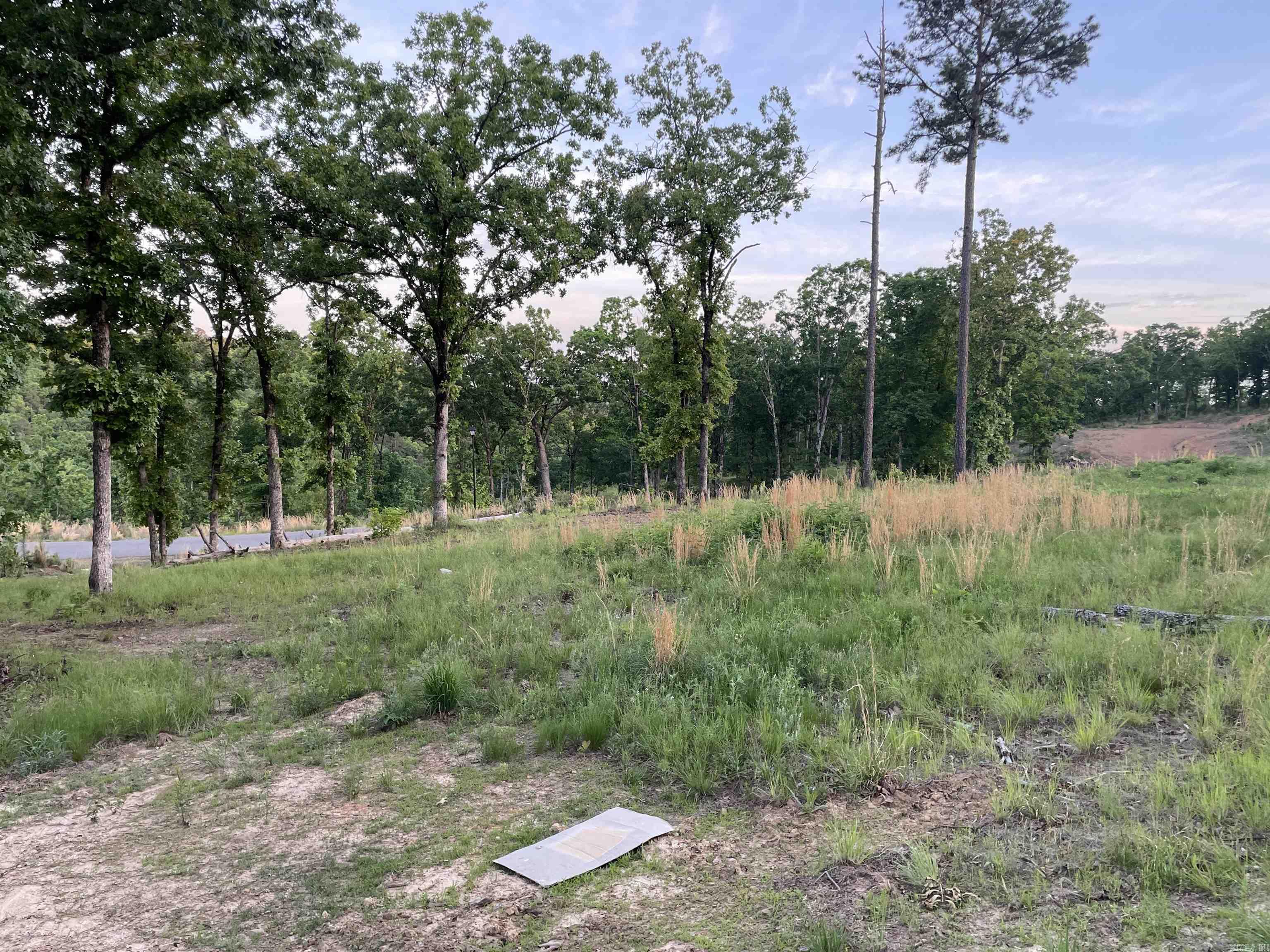 Orchard Hill - Land