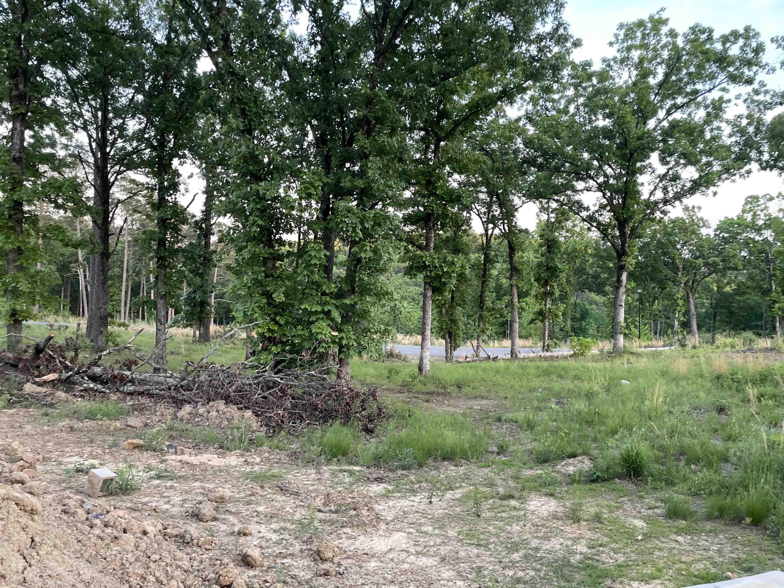 Orchard Hill - Land