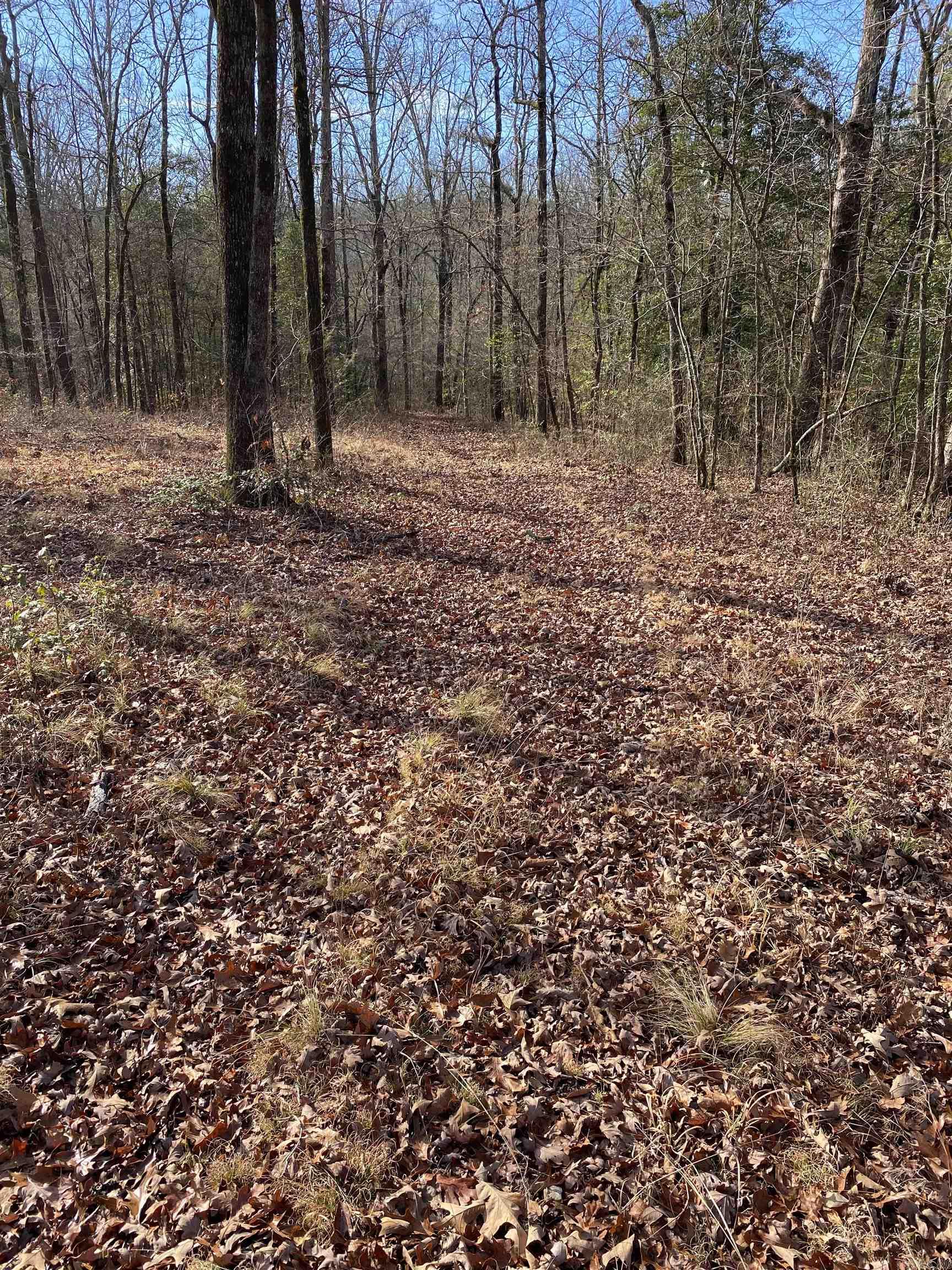 Not in Subdivision - Land