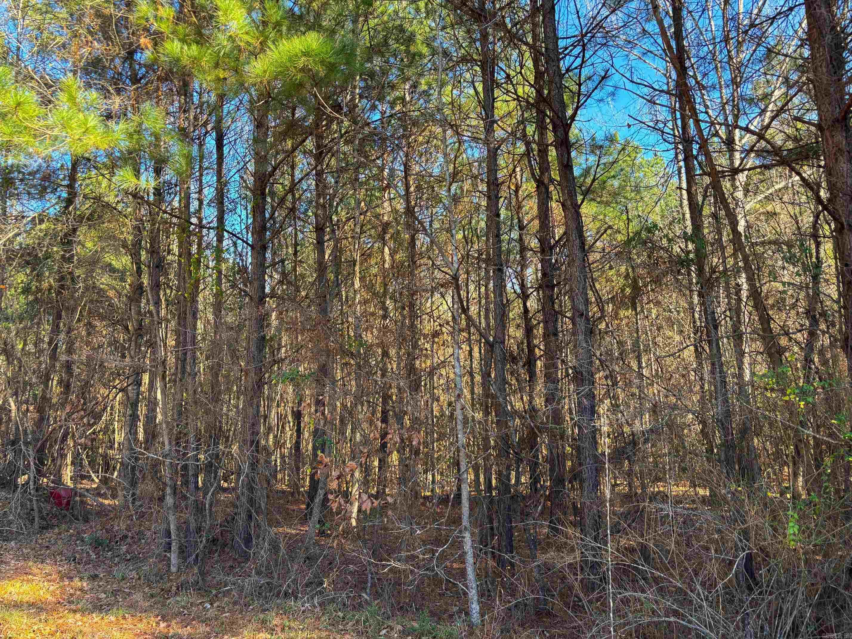 Culpepper Acres - Land