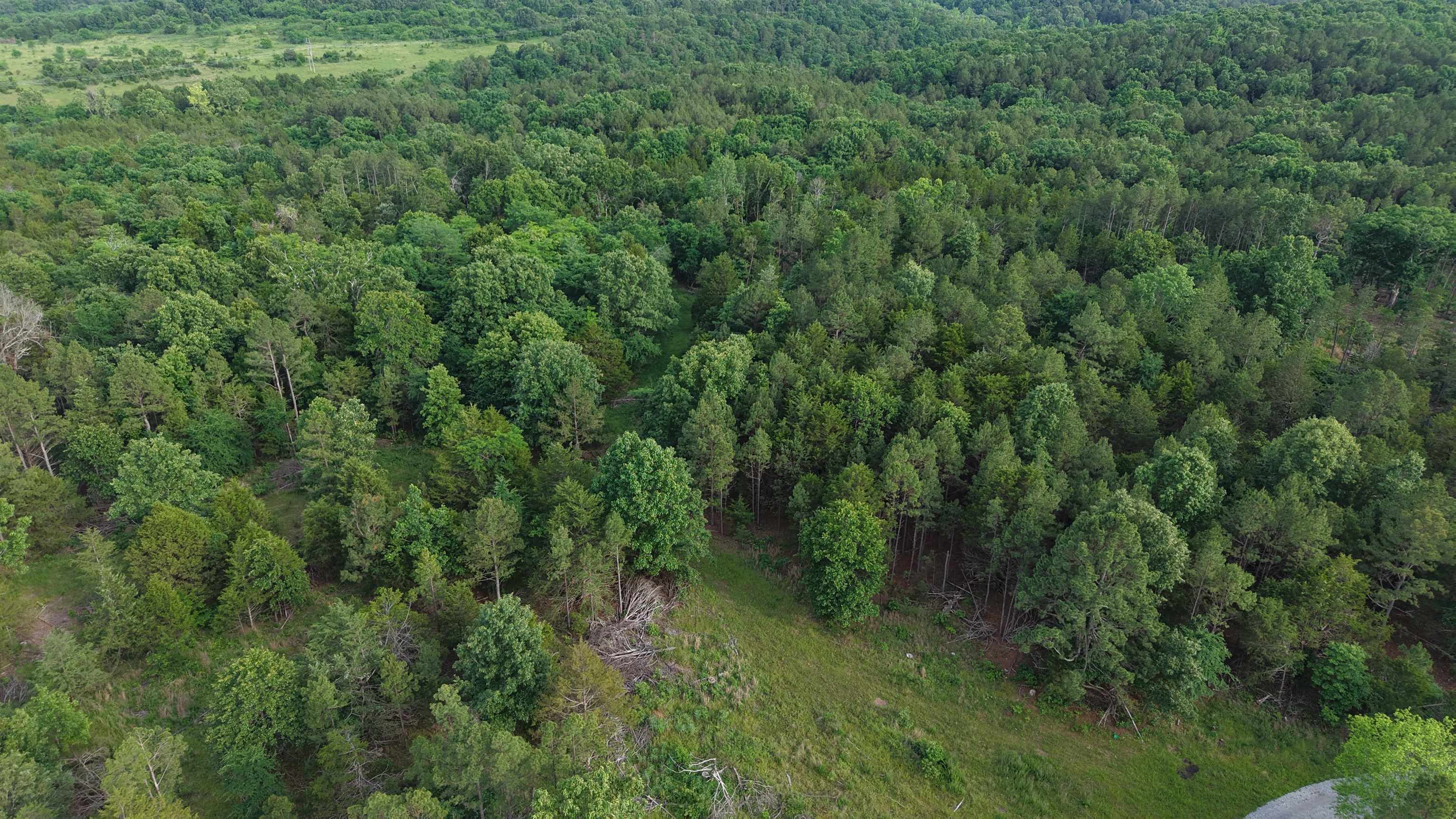 This unrestricted 32 +/- acres in Elizabeth, Arkansas is located on a private road near Norfork Lake. The tract is surveyed and offers multiple building sites, ideal for a full-time home, cabin, or recreational getaway. Electric is available near the property, and the land features a gated entrance for added privacy and controlled access. This area is known for excellent hunting and outdoor recreation, offering a mix of timber, wildlife habitat, and nearby lake activities. Offering an outstanding opportunity for hunting land, recreational use, or long-term investment, this acreage is priced affordably at only $99,900. Additional adjoining acreage is available for buyers seeking a larger tract.