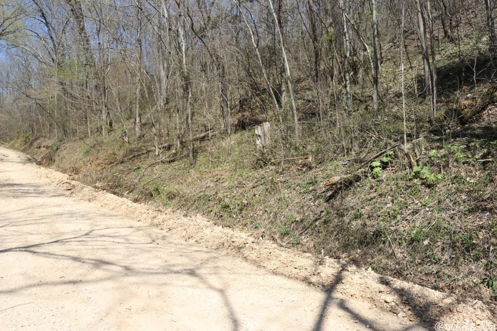 No.02264- 14 Acres of Wooded Land For Sale- If you are looking for a place to park a camper close to Mountain View you have found it. This tract has no restrictions with a road and pad built to park a small camper. The pad overlooks a pretty view of dry creek and the Ozark Mountains. property had a new survey this year. City Water is available, and power crosses the property. No perc test required. Set a water and power meter and you are ready to camp. The land is steep by the pad but once up on top there is quite a bit of flat to eventually build one day or start tomorrow. Great access off a gravel county road. Short drive to the Ozark National Forrest, Blanchard Springs Caverns, and the White River. Come see it today! $35,000.