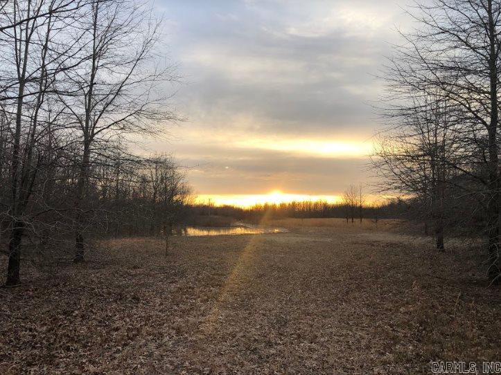 Searcy - Land