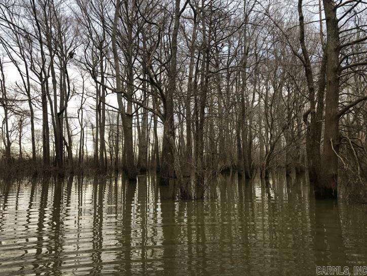 Searcy - Land