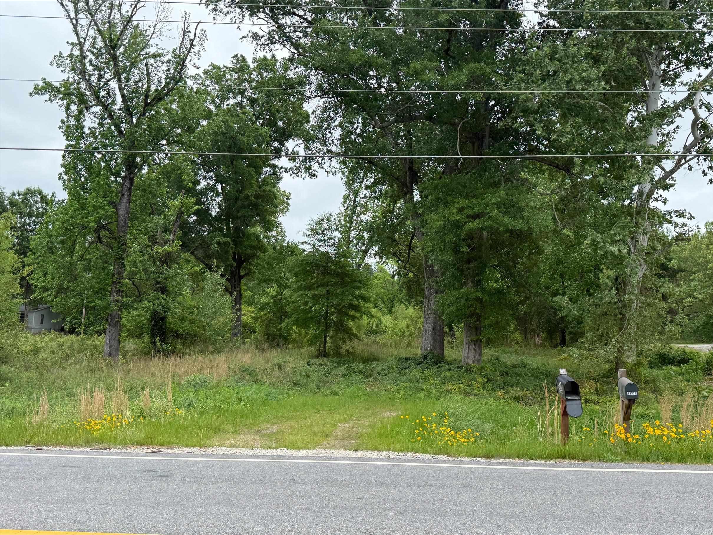 Prime opportunity at 19926 Arch Street in Little Rock! This 4-acre tract offers excellent potential for development, with convenient access to major roadways and strong visibility in a growing area. The property provides ample space for a variety of uses, making it ideal for investors, builders, or businesses looking to establish a presence in a high-demand corridor. Utilities are available nearby, adding to the ease of development. With its combination of location, size, and flexibility, this property presents a rare opportunity to bring your vision to life in Southwest Little Rock.