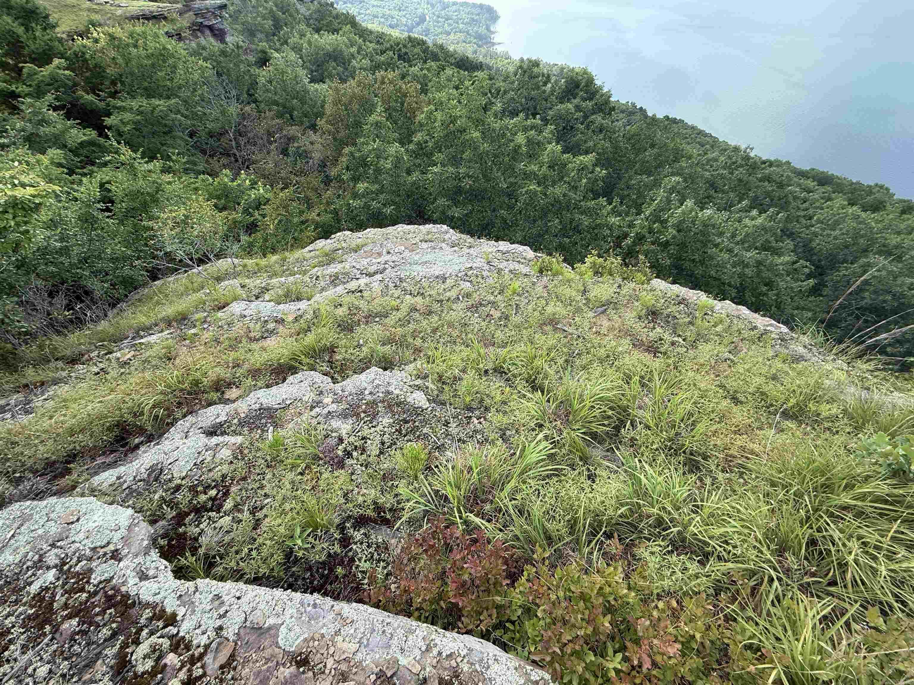 Diamond Bluff - Land