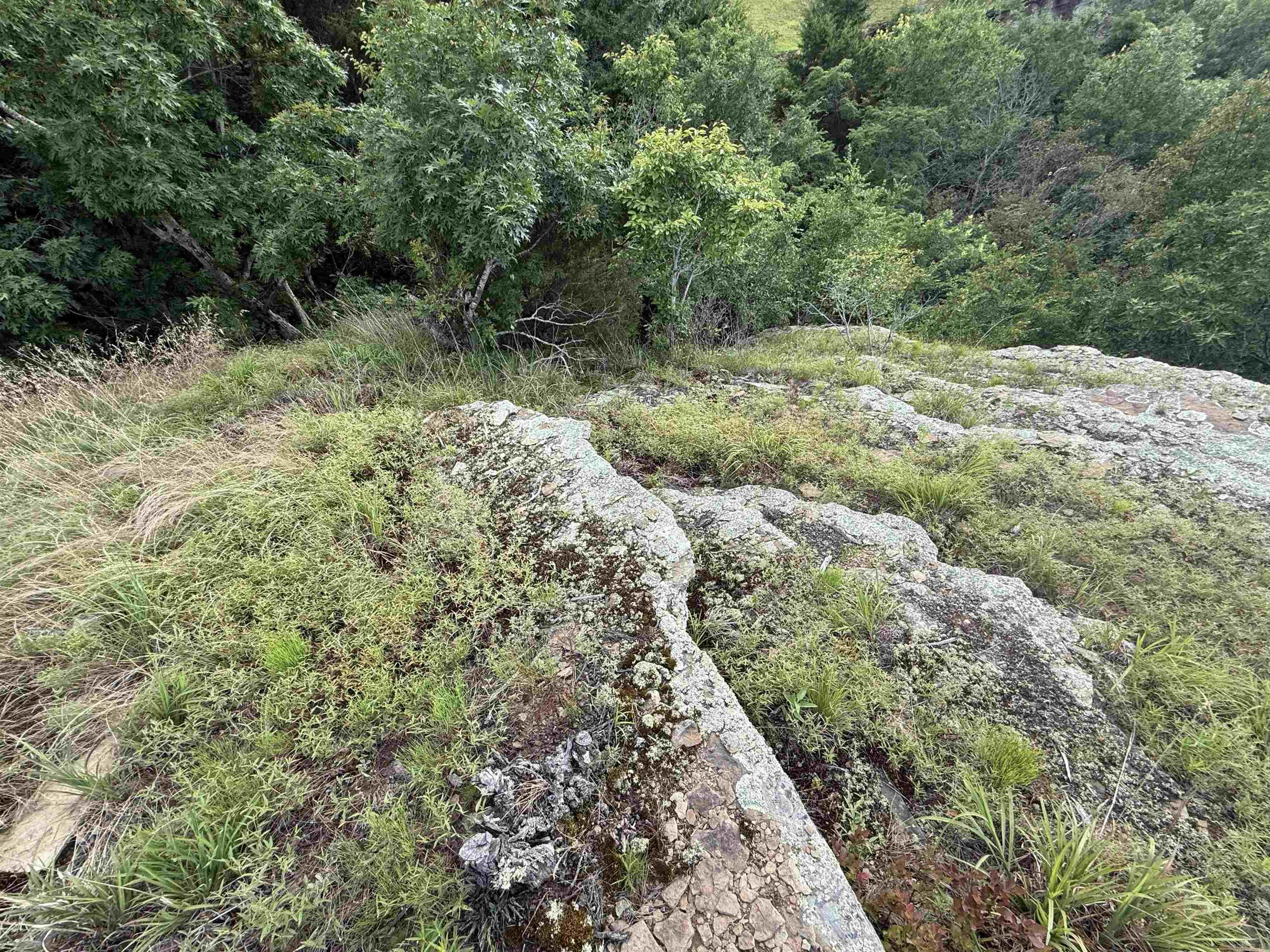 Diamond Bluff - Land