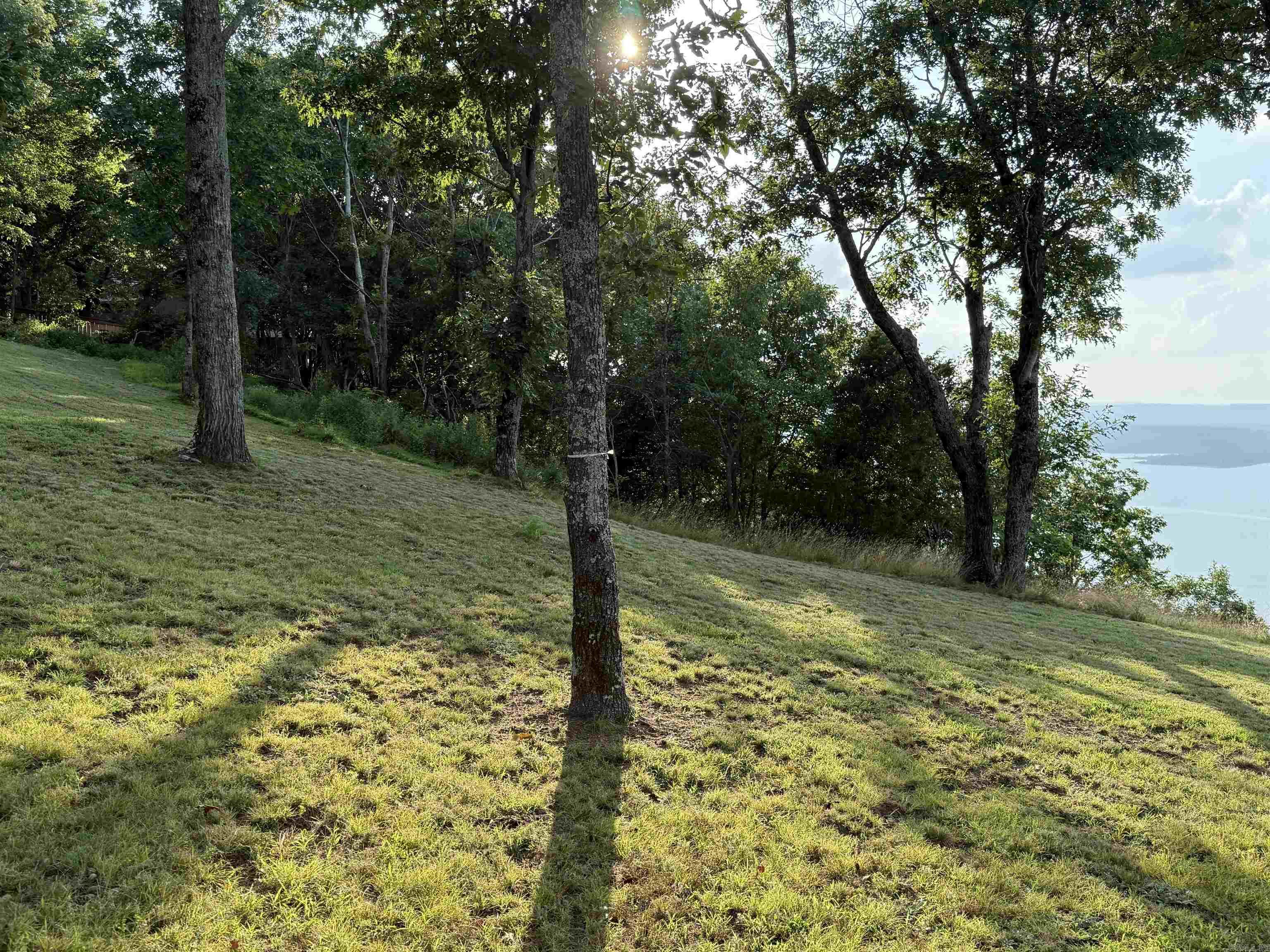 Diamond Bluff - Land
