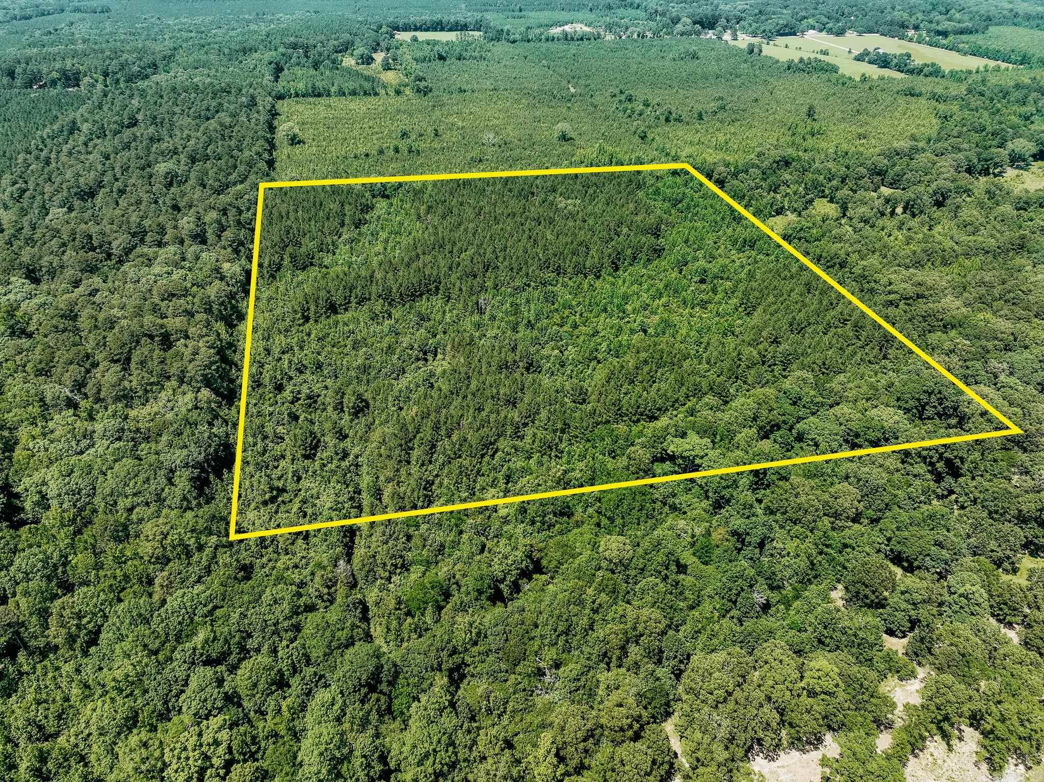 This 40-acre tract in Drew County, Arkansas offers a scenic blend of hardwoods and pine, making it an excellent opportunity for outdoor enthusiasts and land investors alike. A winding creek bottom cuts through the property, enhancing its natural beauty. The diverse timber stand provides great habitat for local wildlife, including deer and turkey, making it a prime spot for hunting and recreation.  Just a short drive from Monticello, this property delivers the peace and privacy of the woods with the convenience of town nearby. Whether you’re looking to hunt, explore, or simply invest in quality timberland, this property checks all the boxes.  Accessed via a recorded deeded easement, the property offers both seclusion and secure entry. With potential for future timber harvest or enhanced wildlife management, it presents an opportunity to create long term value while enjoying the land today.