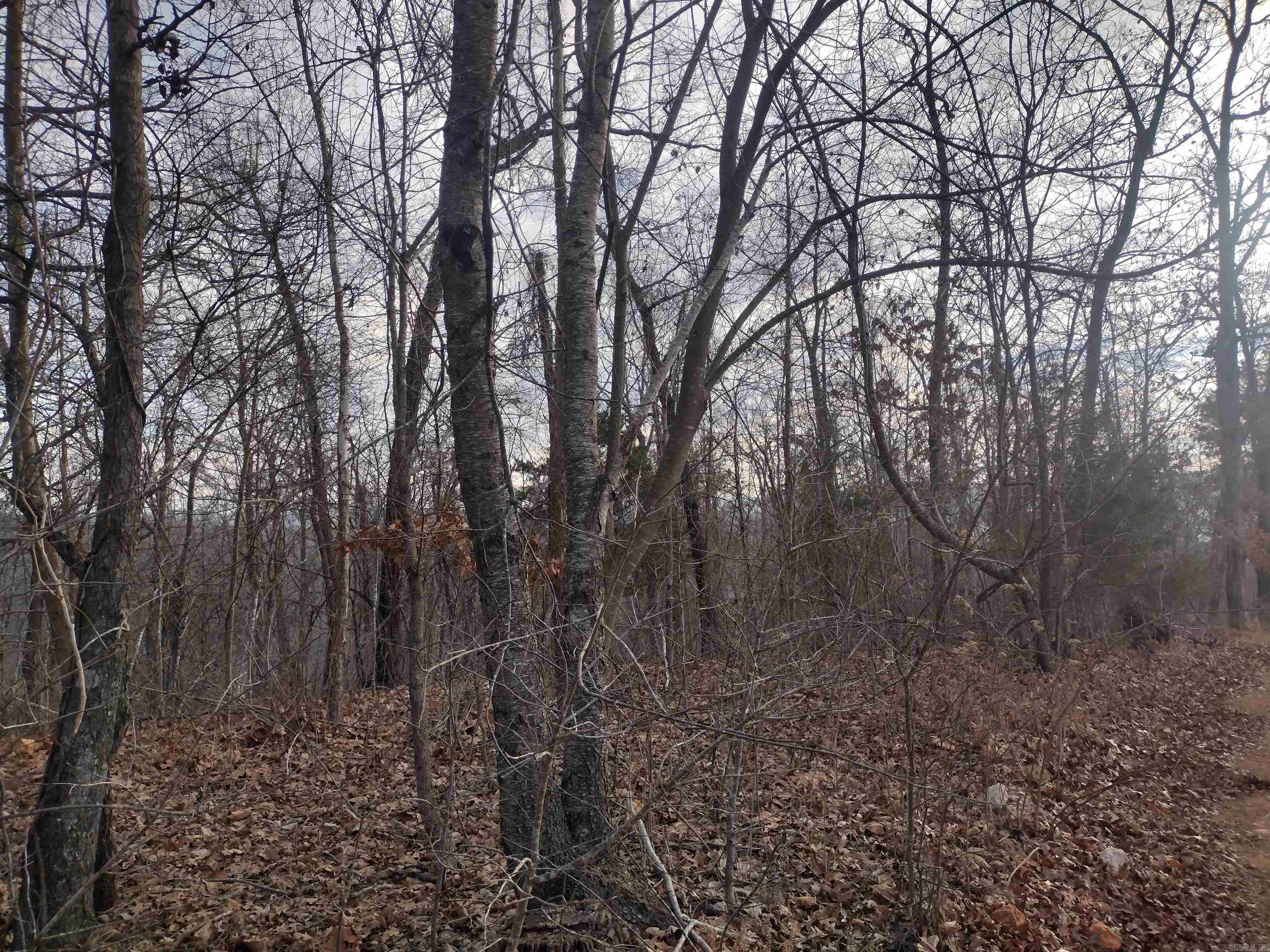 VIEWS, Views this property has views of surrounding mountains, several good building sights all wooded just approx 15 minutes from town and just minutes to the white river and Ozark National Forest