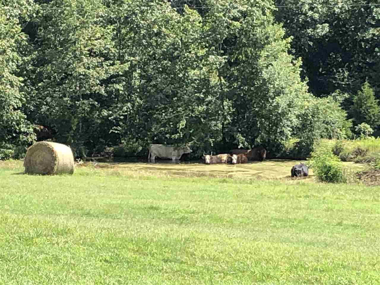 Metes & Bounds - Farm