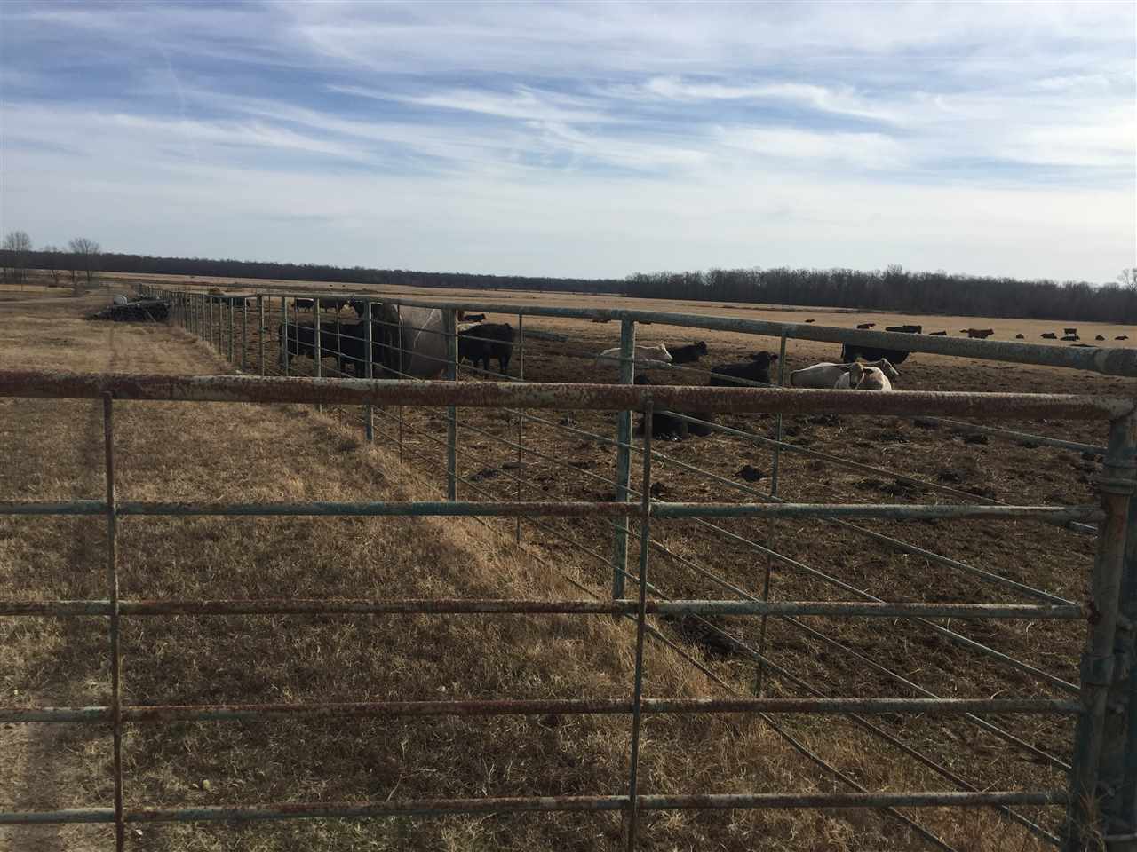 Metes & Bounds - Farm