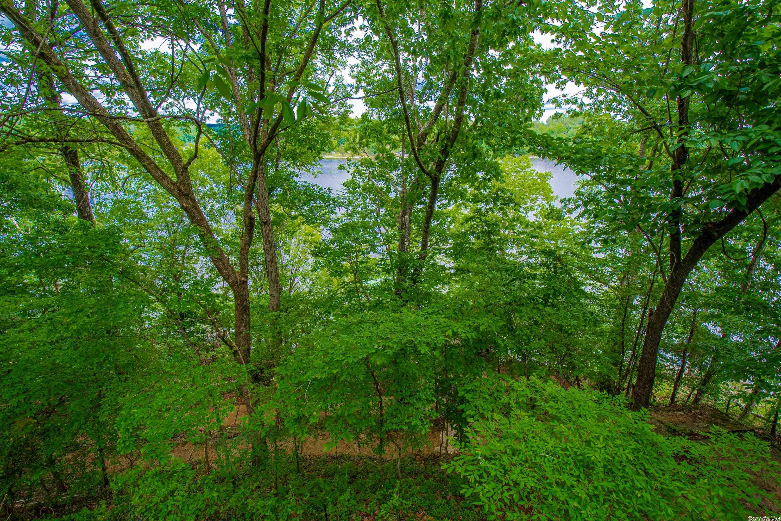 BRUSHY LAKE - Residential