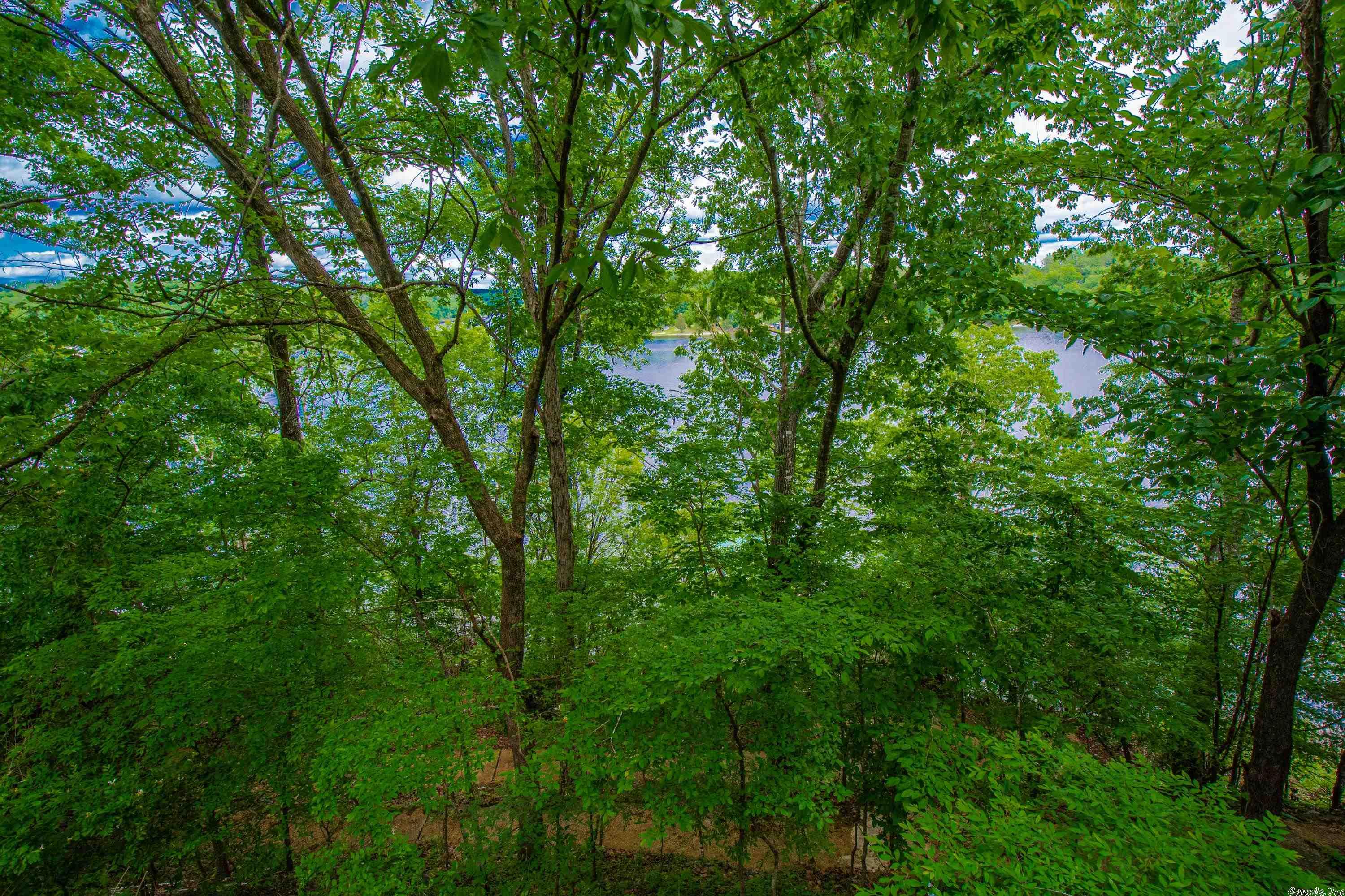 BRUSHY LAKE - Residential
