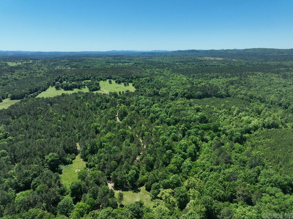 This 40-acre tract just west of Point Cedar offers a good mix of usable ground, mature timber, and year-round water. The property is heavily wooded with a healthy mix of hardwoods and pine, including several large saw log trees throughout the tract. A live creek runs from the north end of the property all the way through the south side, giving the land a natural water source and making it attractive for wildlife year-round.  There are currently around five acres of hay ground in place, and the south side of the property offers additional open ground potential. With some clearing, there could easily be 20 acres or more opened up for pasture, farming, or additional homesites. The layout of the land gives you several options depending on what you want to do with it.  The property has good road access with utilities nearby, making it easier to develop without losing the secluded feel. It’s the kind of place you can enjoy right away while still having room to improve and add value over time. Priced right and loaded with potential, this is a strong piece of ground in a hard-to-find area.