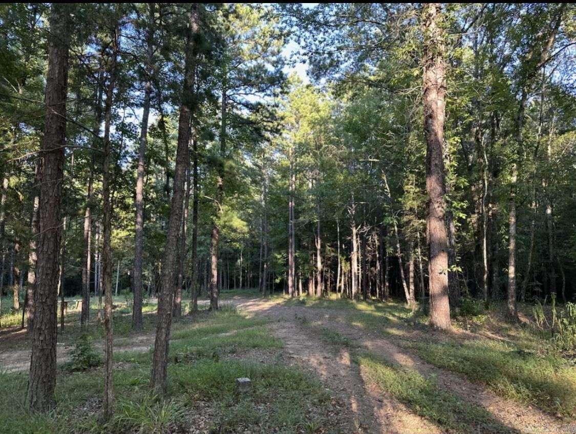 MIDDLE FORK ACRES - Land