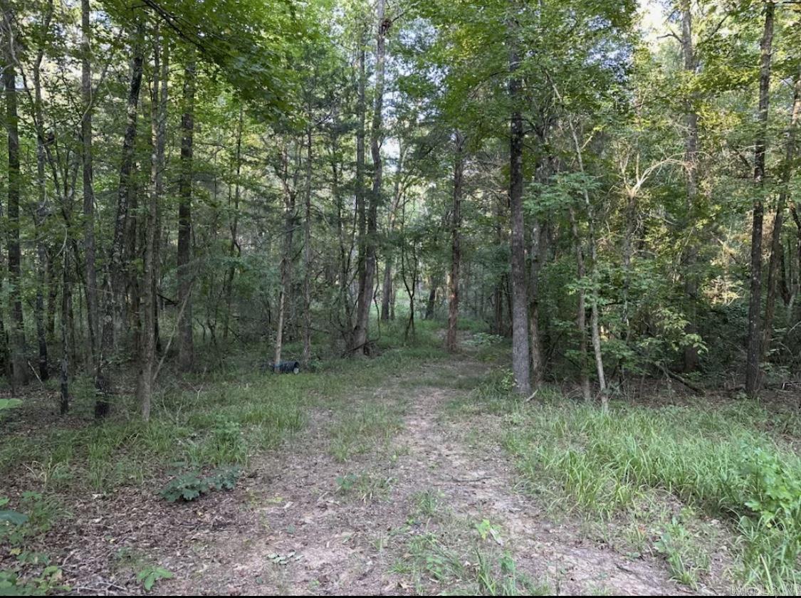 MIDDLE FORK ACRES - Land