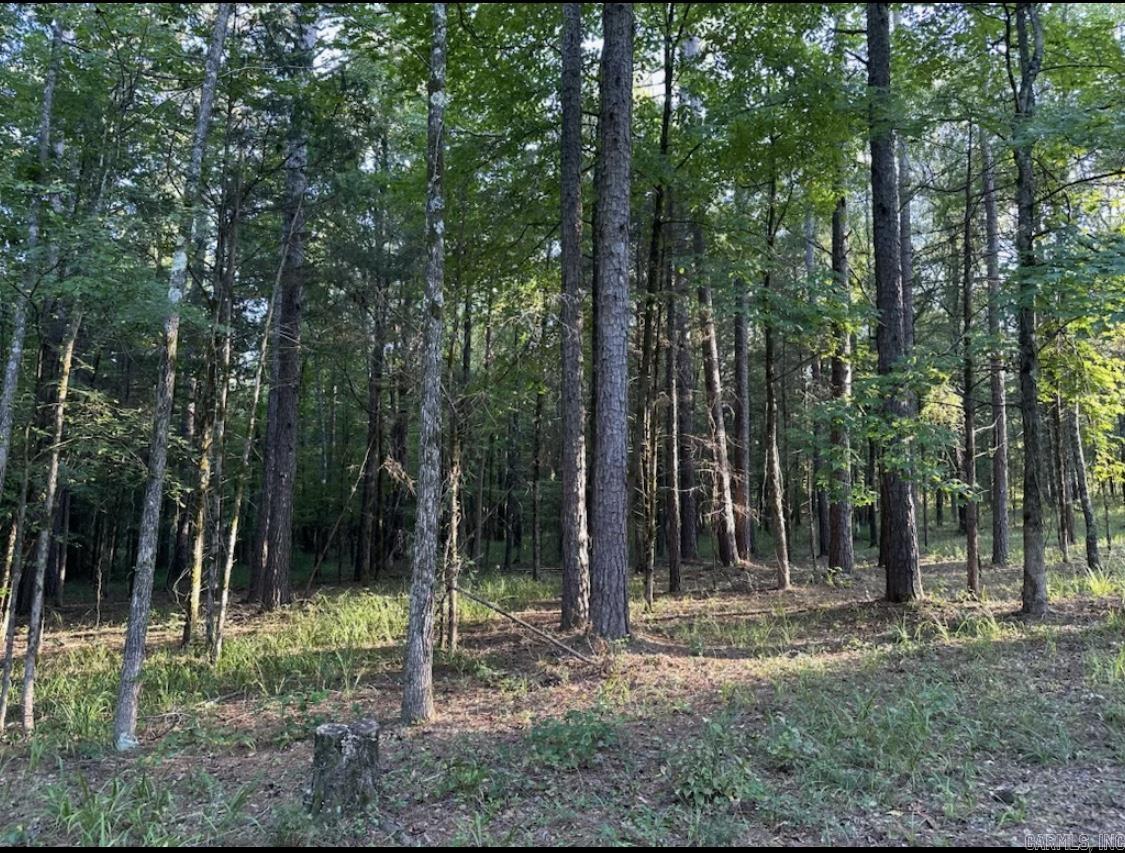 MIDDLE FORK ACRES - Land