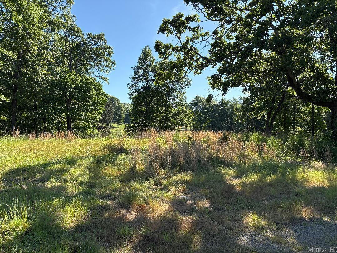 Build your dream home here. Property frontage is on Hwy 31 N. Property is level in front and drops down to a valley in the back. Sowco Water is Already on property, Electric was ran to property until Power pole broke. NO Restrictions. Property is mixed with tree's and pasture areas. Lots of Potential with this Property in Floyd. New Survey just completed See It in Associated docs tab. Give Me A Call Today ! NO SPD