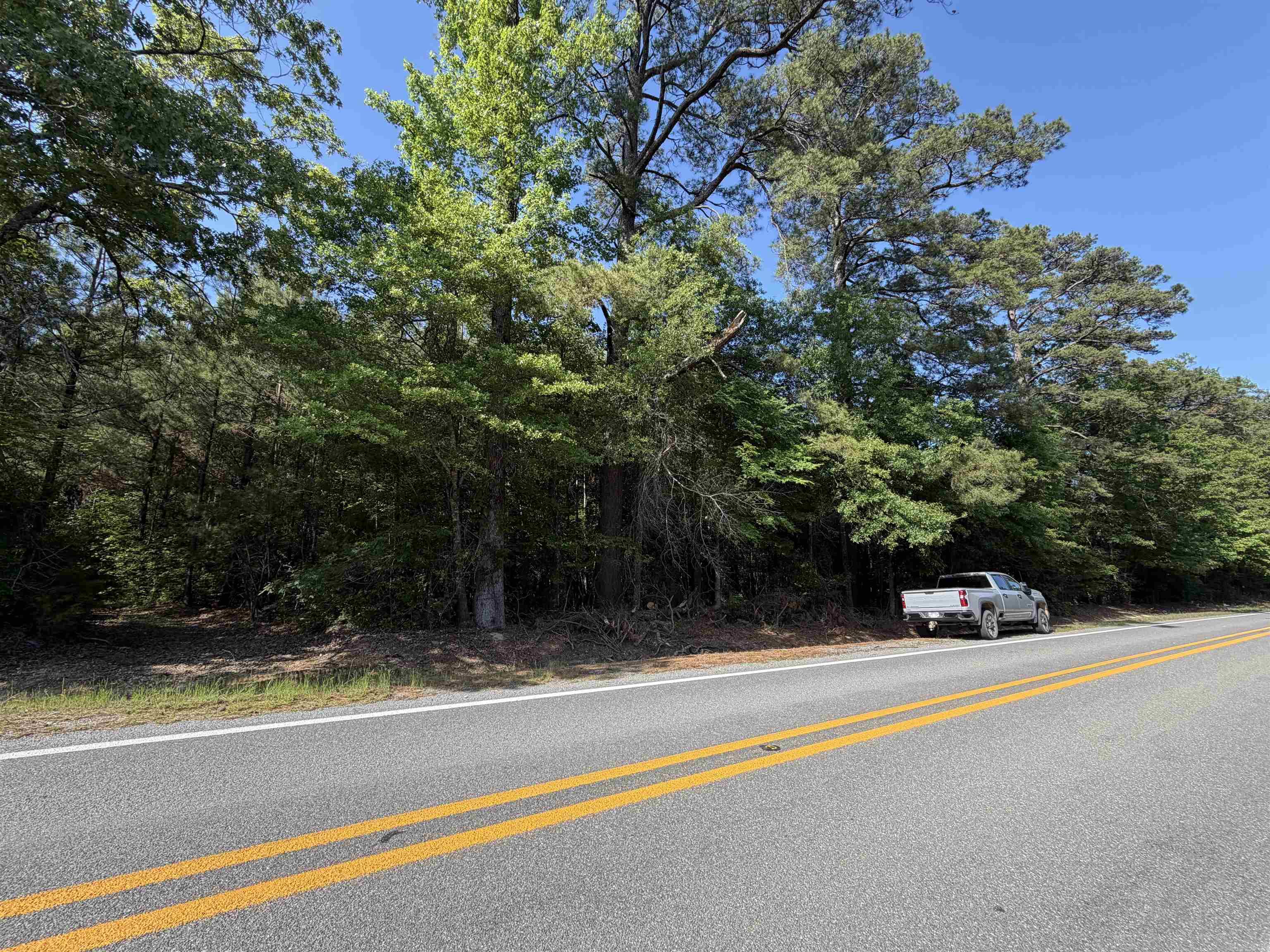 52.52 Acres +/- with Hwy 160 frontage. This well-managed 20-year-old pine plantation offers strong timber potential and is set up for both recreation and investment. Two creek systems provide excellent natural drainage, and established hunting lanes/trails are already in place for immediate use. There’s also great potential to clear a homesite, making it a versatile tract for building, hunting, or long-term value.