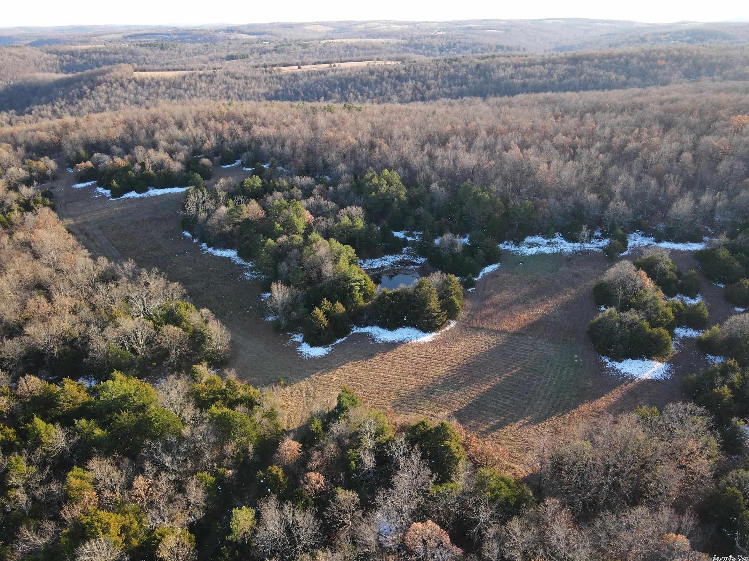 Not very often does the property come along where you can truly say “nothing left to be desired”, well this one is about as good as it gets. No matter your desires, this spectacular place is sure to check most of your boxes. This premium location is coupled with incredible hunting and intense management program to provide one special property for you and your family to enjoy for generations to come. The property is very private and secluded with only one entrance off a well-maintained gravel county road behind a locked gate. As you enter, you are greeted with a massive open meadow littered with mature Walnut trees; this open area has been drilled and planted with milo, clovers and other plot mixes to supplement for the wildlife. A poured foundation sets ready for building a custom barndominium with full blueprints. Electric is in place; an old well is on the property and easements have been arranged for city water if desired. The home/cabin site is strategically located with a vista view of the mountains and meadow as well as not to infringe on the epic hunting that takes place.