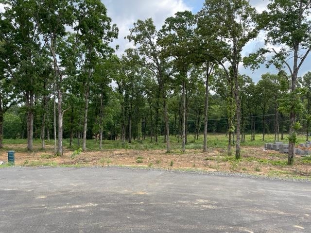 Orchard Hill - Land