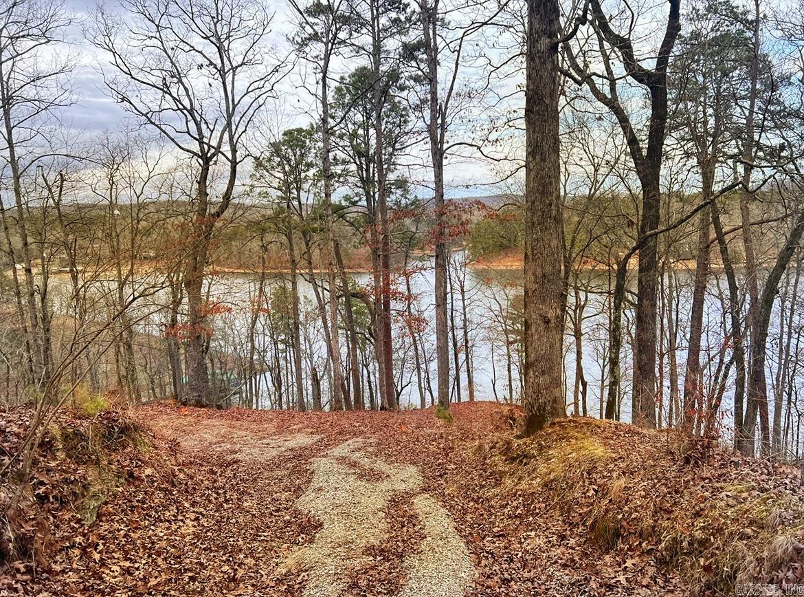 Have you been dreaming of owning multiple acres of prime secluded lake view land surrounded by the majestic Ouachita mountains? Lots of amenities for the price point.  View of Lake Catherine.  Adjoining lakefront lot for sale also.