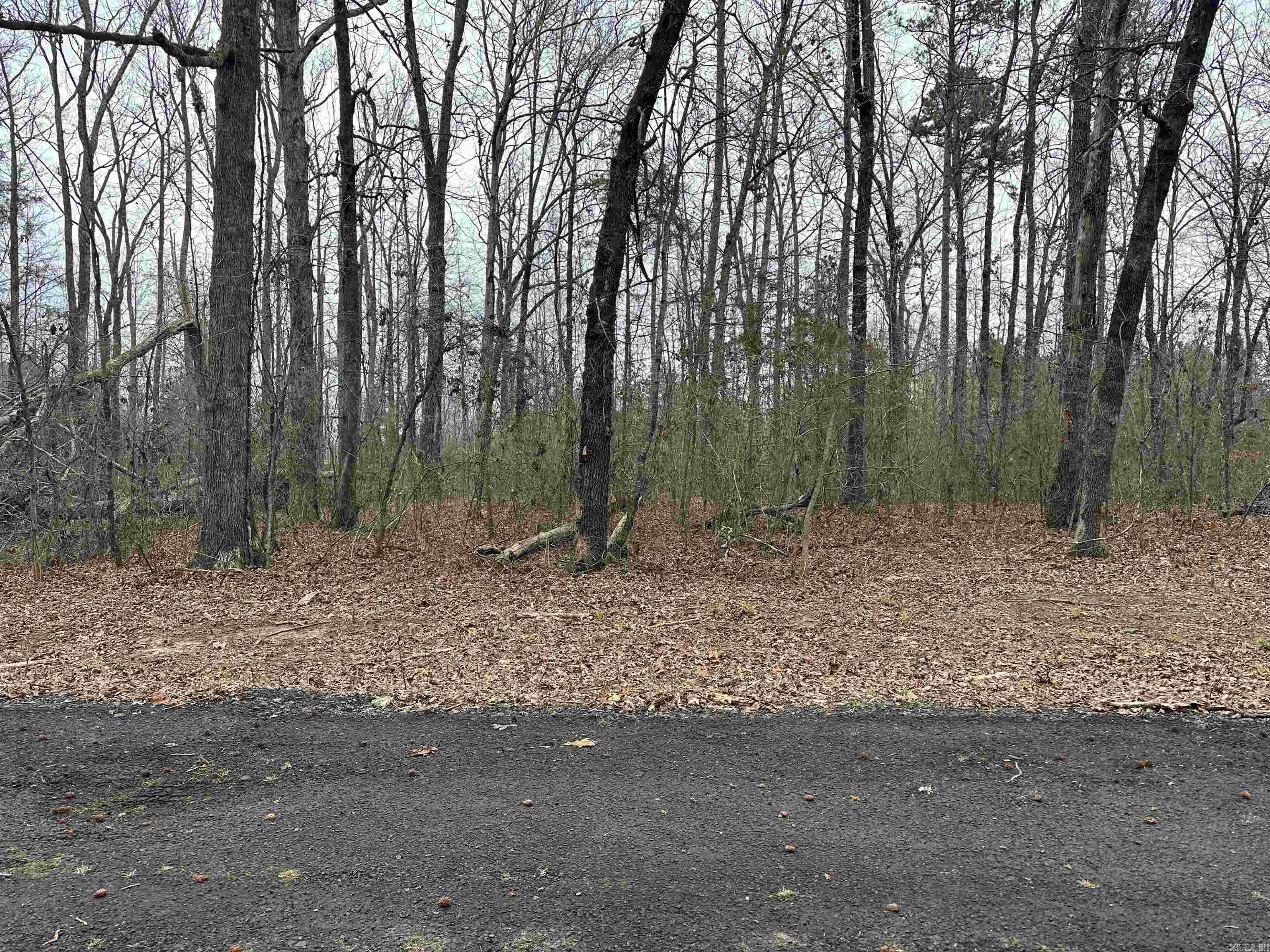 Nice buildable lots located right in the middle of town and close to EVERYTHING. These won't last long so call today.