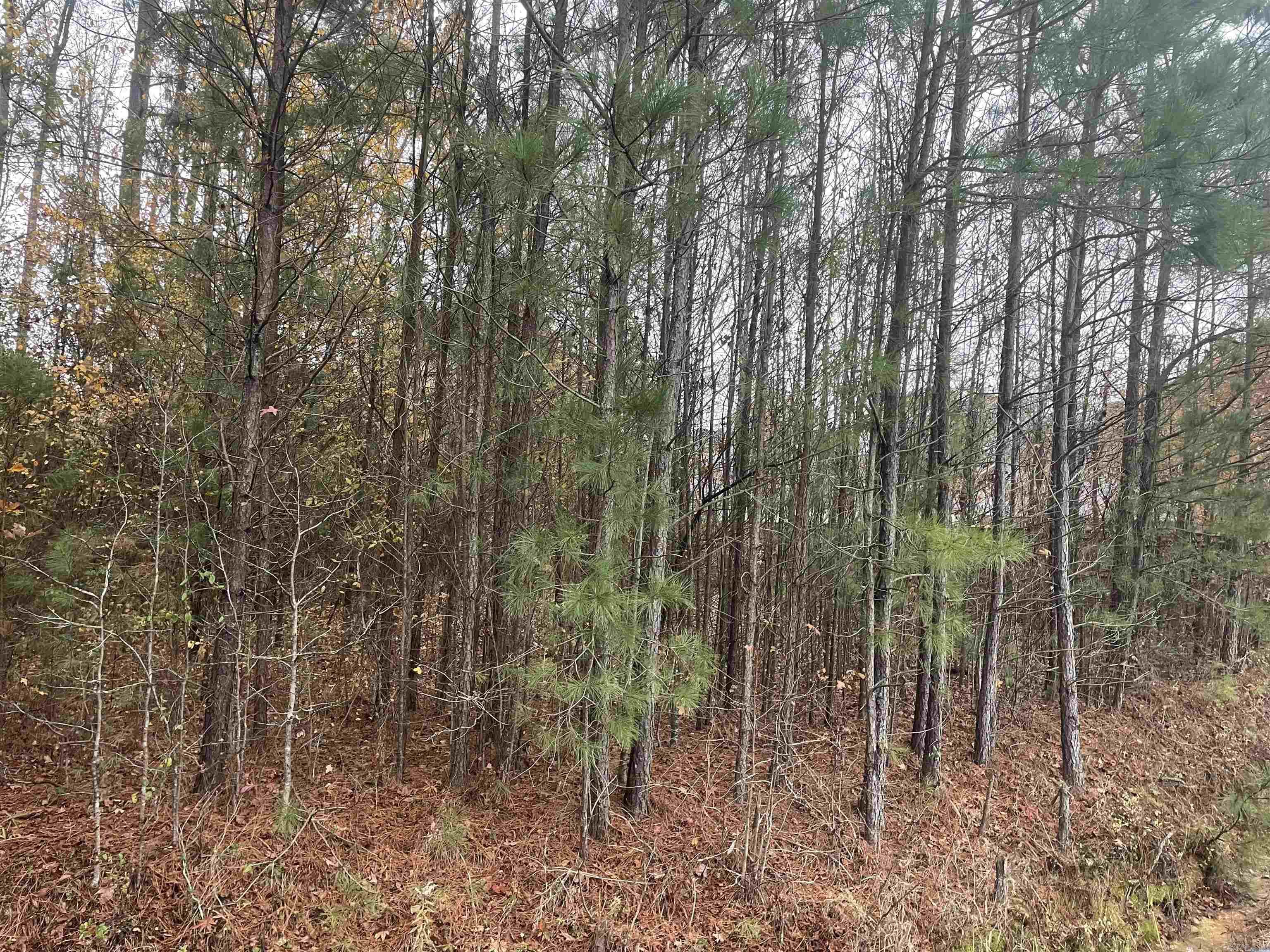 This is great area to have a hunting lodge to hunt the paper company. Property joins the paper company. The seller is contract and is willing to work with buyer to build a cabin on the land