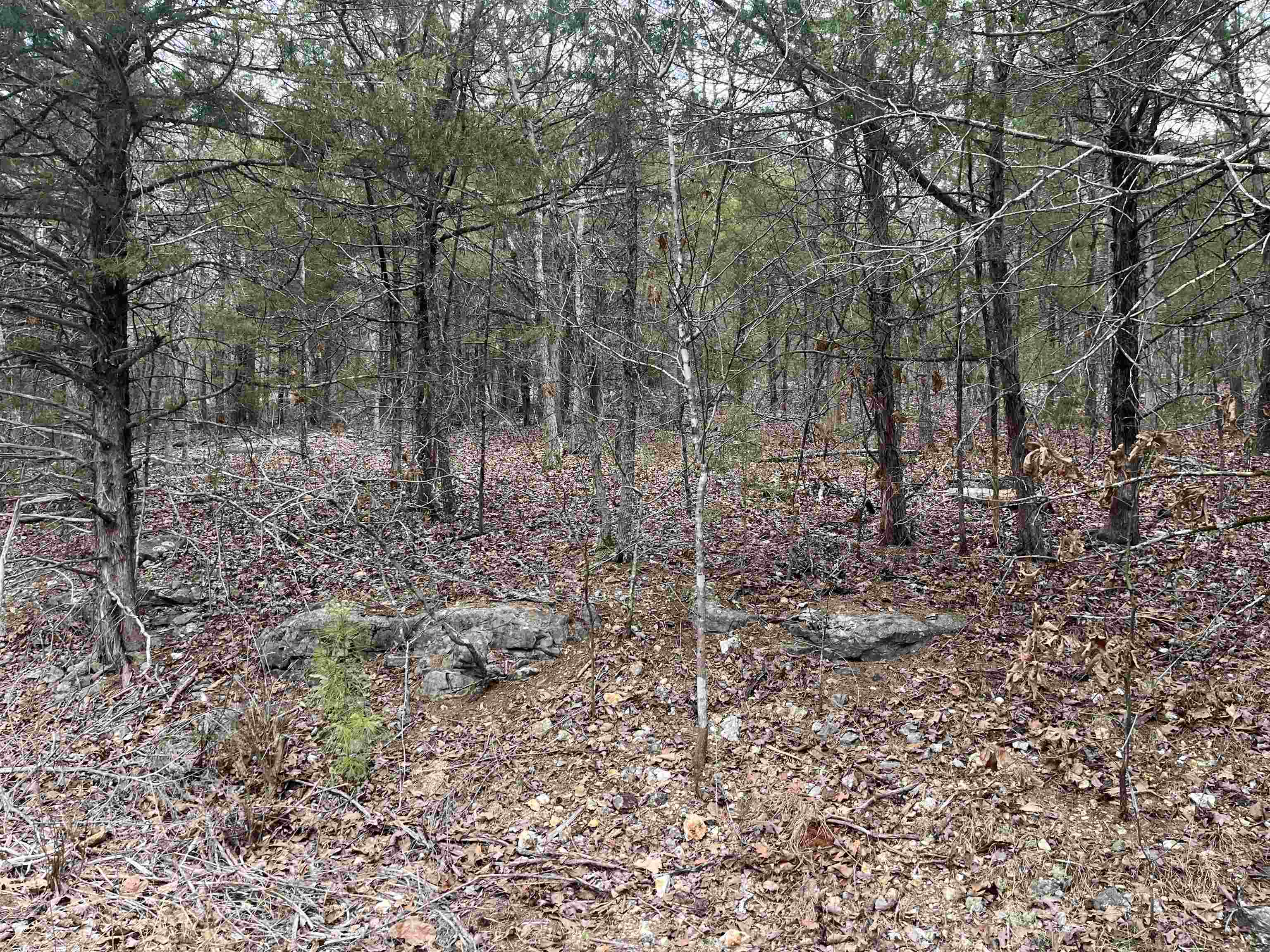 Here is your chance to purchase 4 fairly level lots tucked away inside a cul-de-sac. One of the lots backs up to Cherokee Road. These lots are just up the hill from the end of a cove on beautiful Lake Omaha. A wet weather creeks runs along the back of one lot and into Lake Omaha.