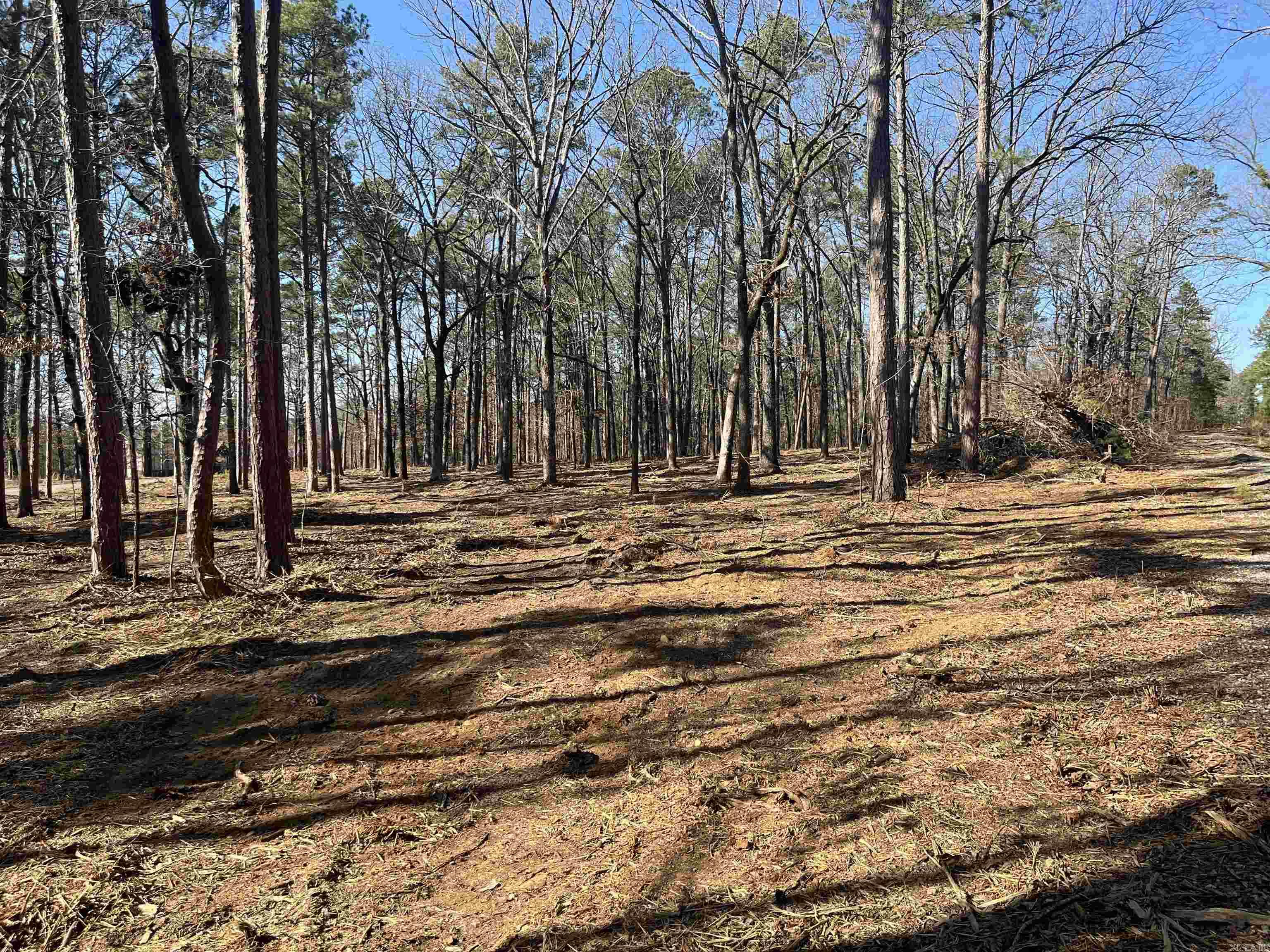 Ever wanted minimum restrictions in a desirable piece of property? Look no further from the airstrip to the golf course this one does not disappoint. Whoops don't forget all the lake access, how could you? It is worth the look so don't wait. AGENT'S PLEASE SEE REMARK'S